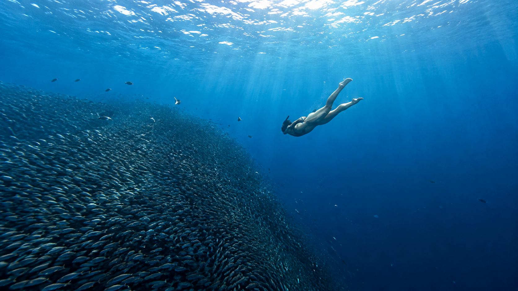 Cebu: South Highlights Tour of Oslob, Sumilon & Moalboal 3