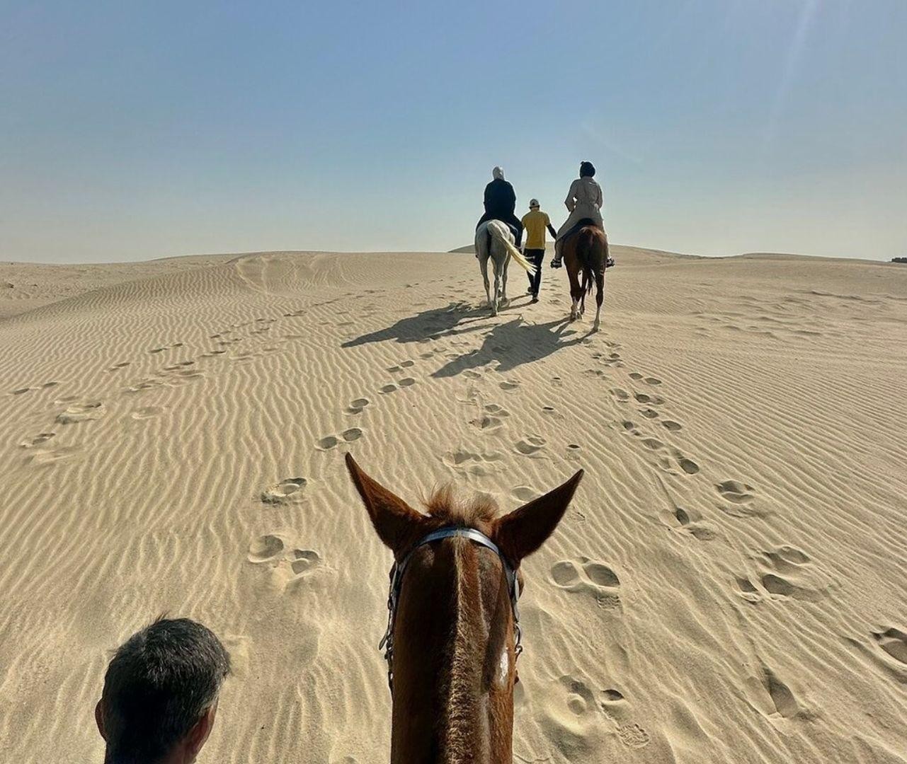 Doha: Arabian Horses & Desert Horizon Guided Tour