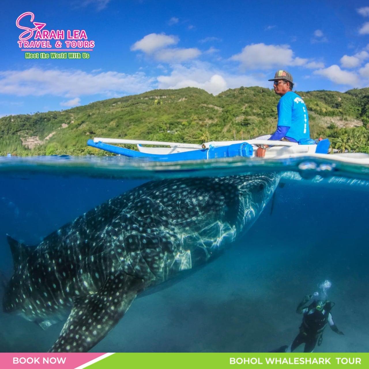 South Cebu: Oslob Whale Shark Viewing Day Tour