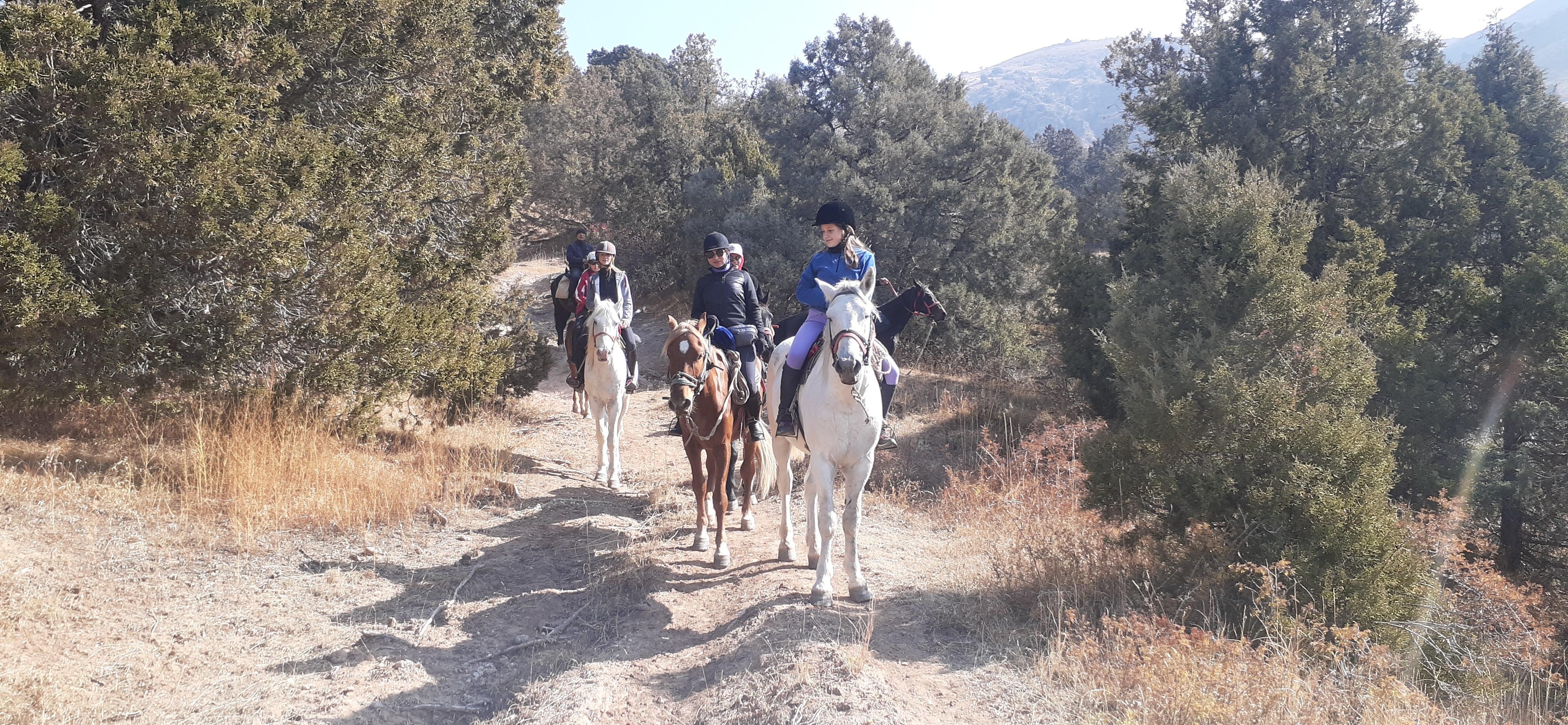 From Tashkent: 3-Day Horseback Tour in Chimgan Mountains 3