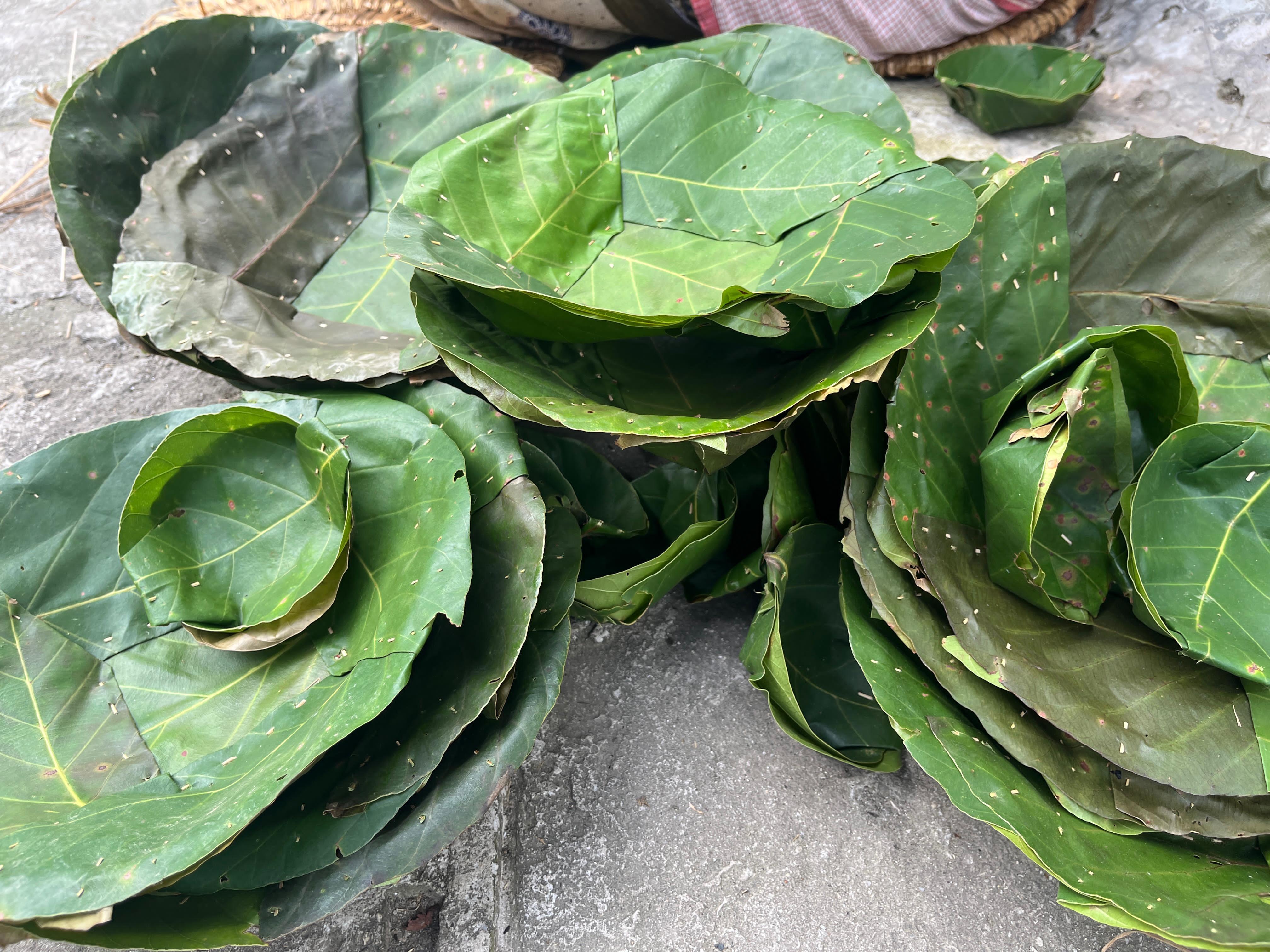 Kathmandu: Make Leaf Plates & Cook with a Local Family 3