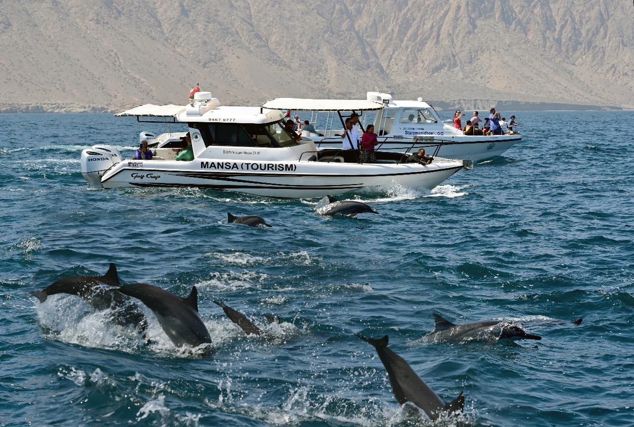 Muscat Dolphin Watching, Snorkeling & Kayaking Adventure 3