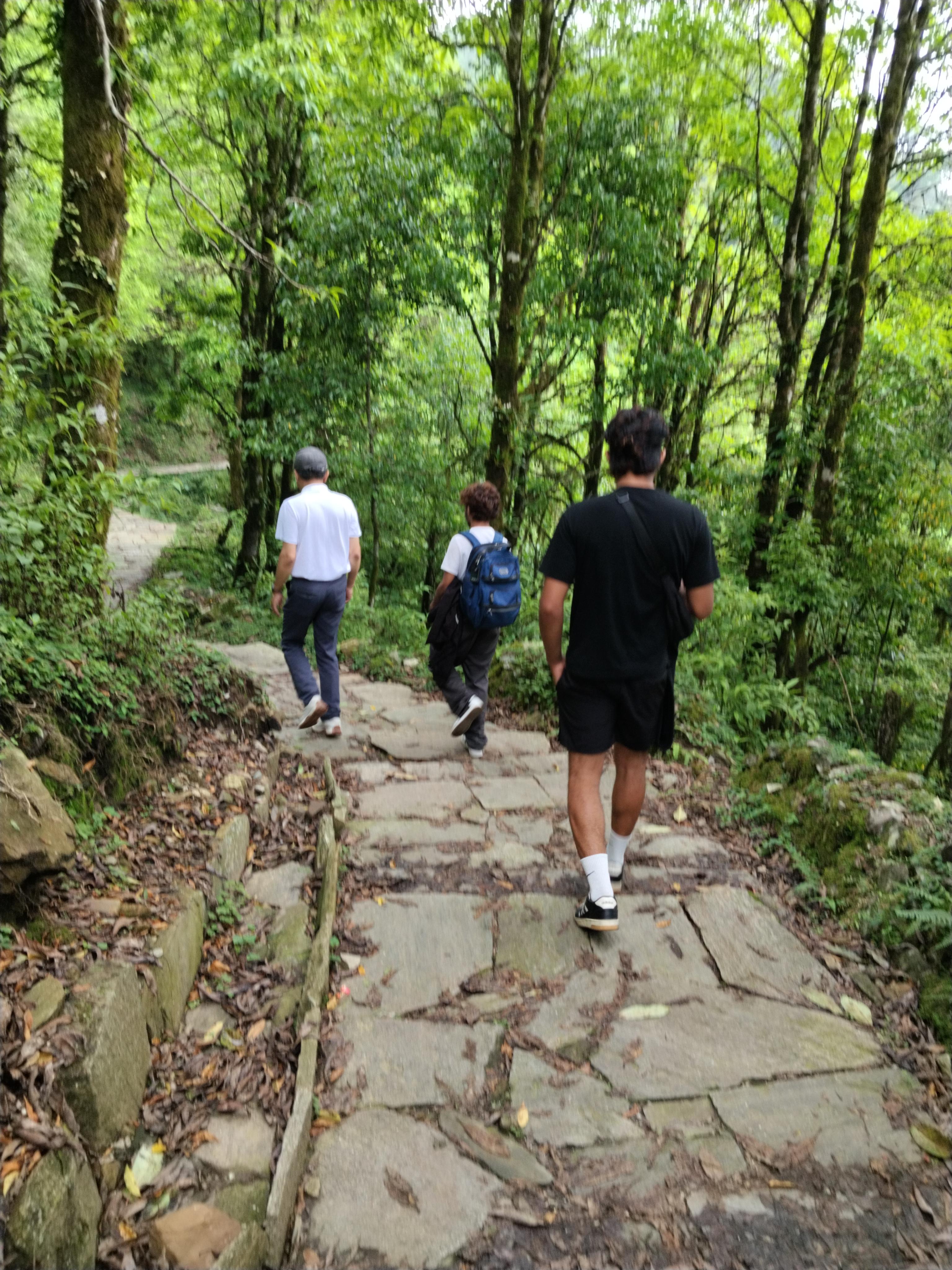 Pokhara: Annapurna Foothills Day Group Hike with Transfers 3