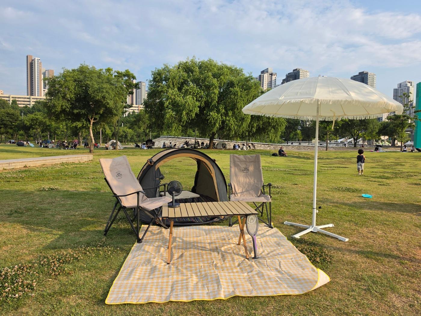 Seoul: Han River Picnic with Premium Gear and Food Delivery 3