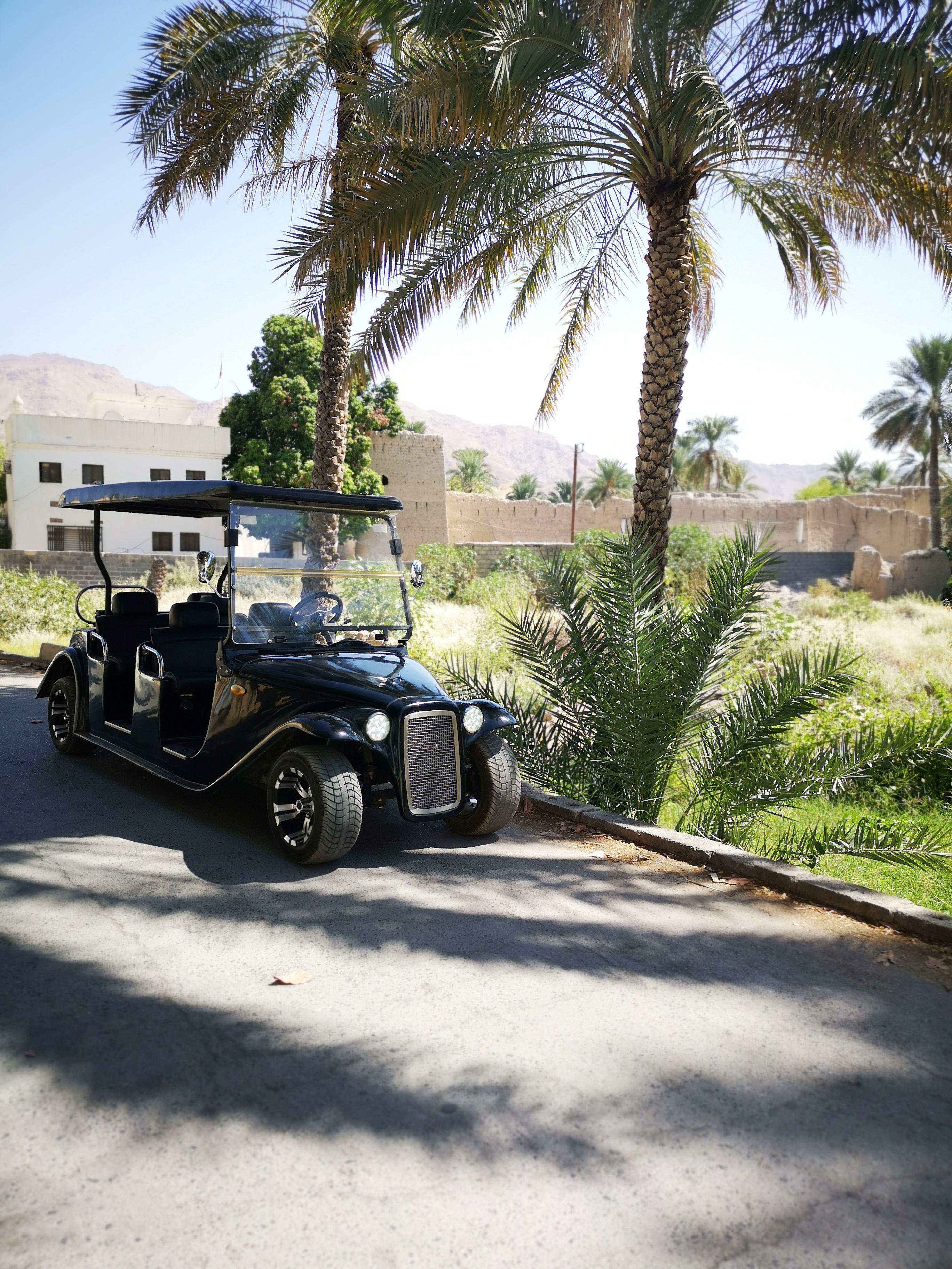 From Jebel Akhdar: Al Aqur Village Cultural Cart Tour 2