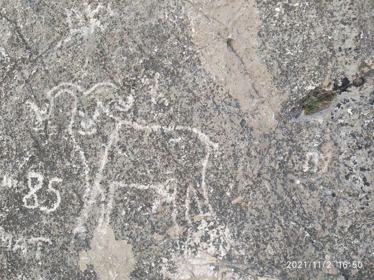 2-Day Nuratau Mountain Tour to Sentob Village from Bukhara. 3