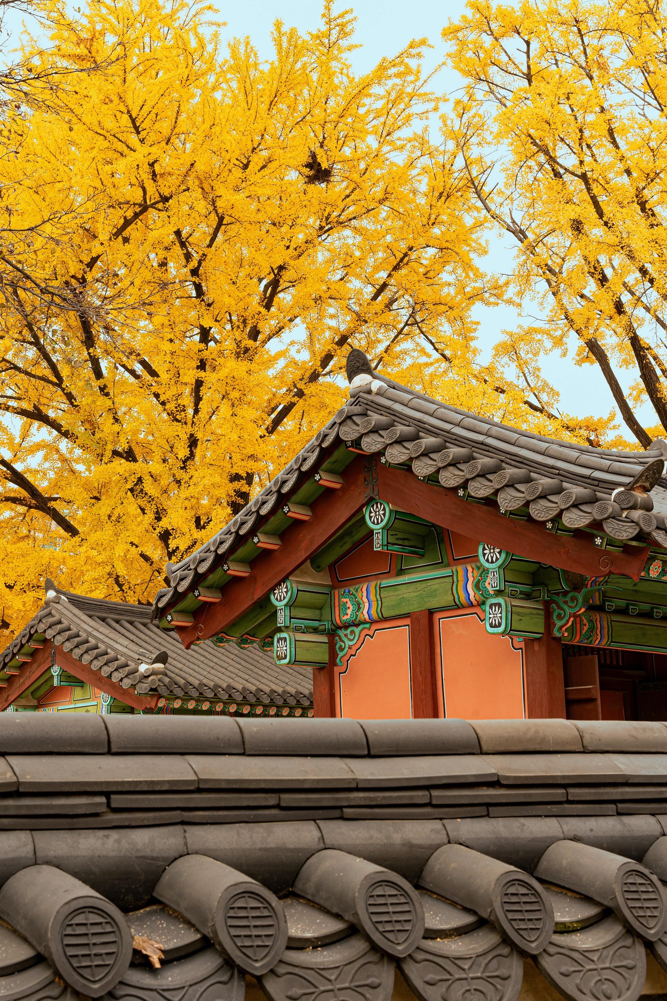 Seoul Private Layover Tour from the Airport with a Local