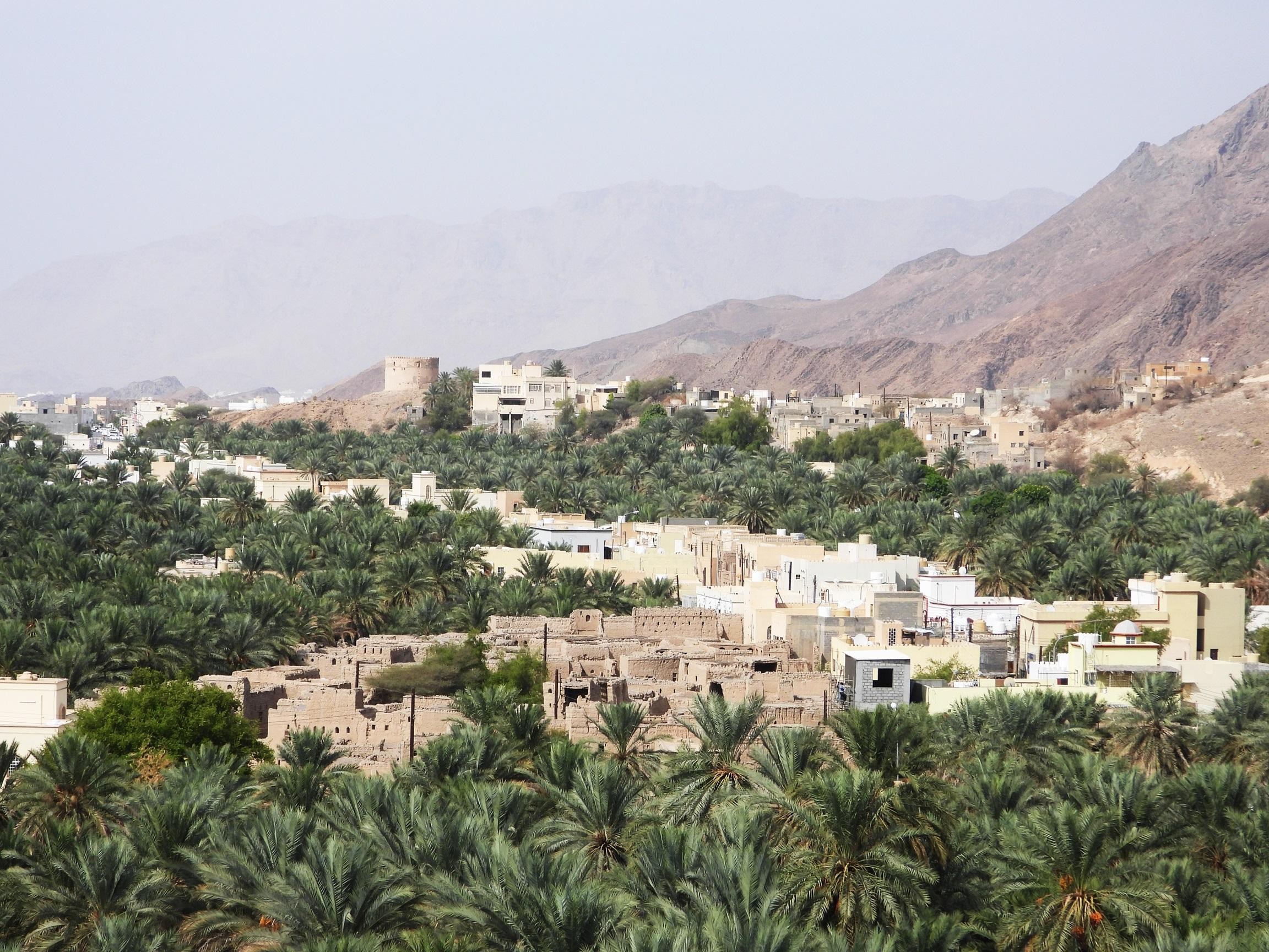 full day trip to Birkat Almouz&Nizwa souq&Fort&Falaj Daris.