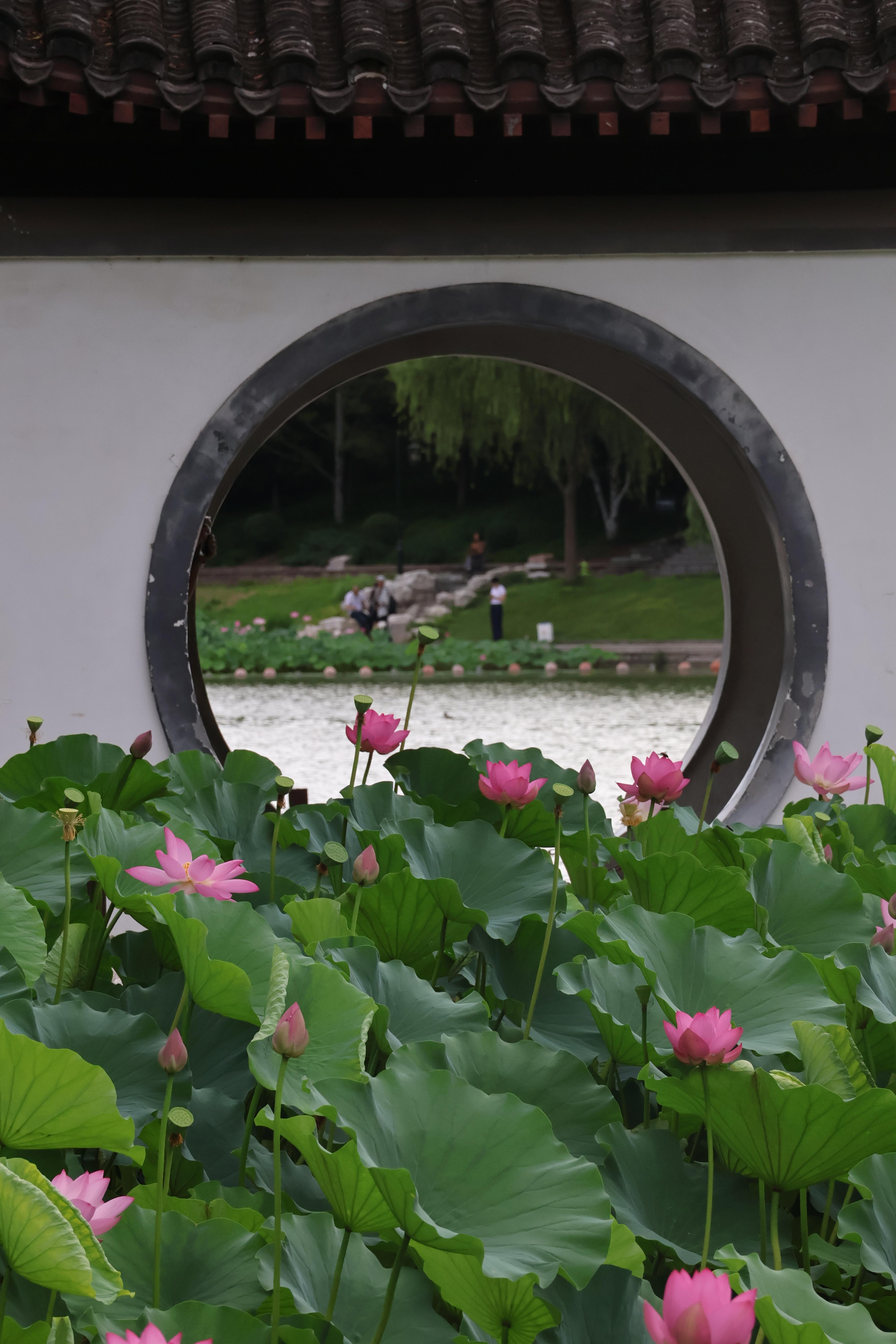 Beijing: Taoranting Park Entry Ticket 3