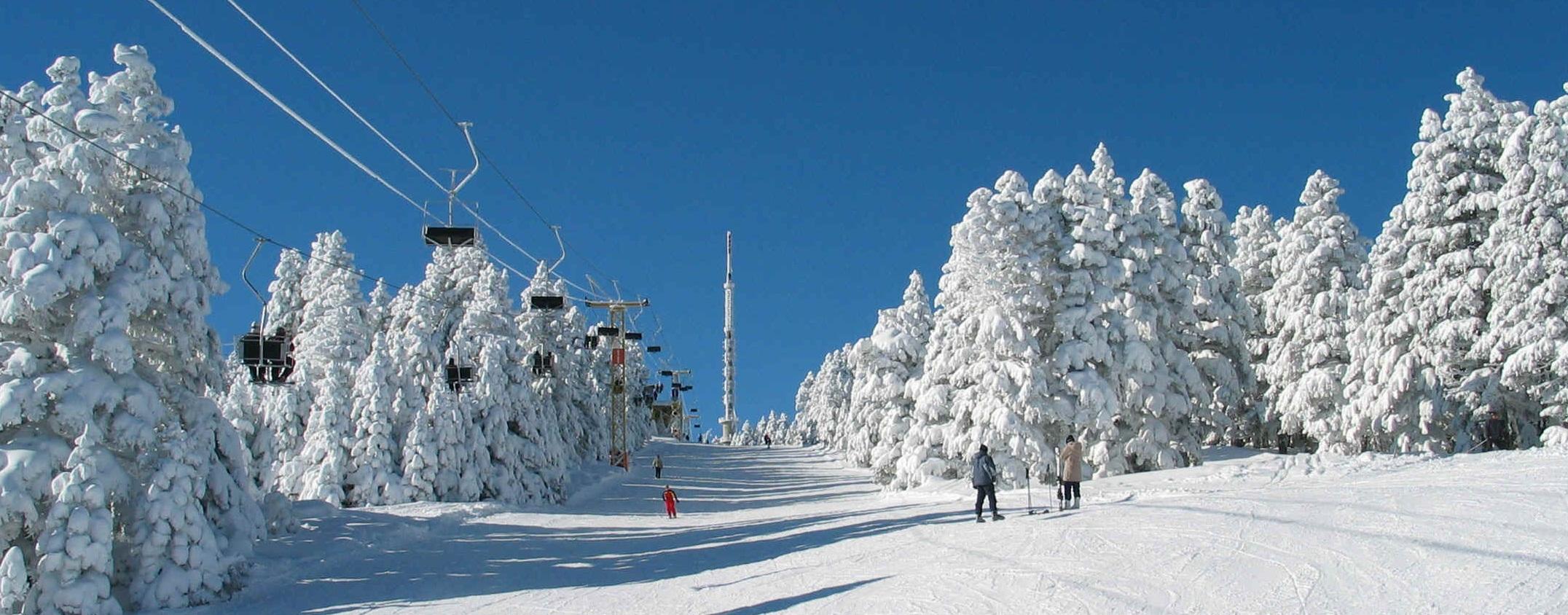 From Tbilisi: Borjomi and Bakuriani Ski resort Day Trip ❄️☃️ 2