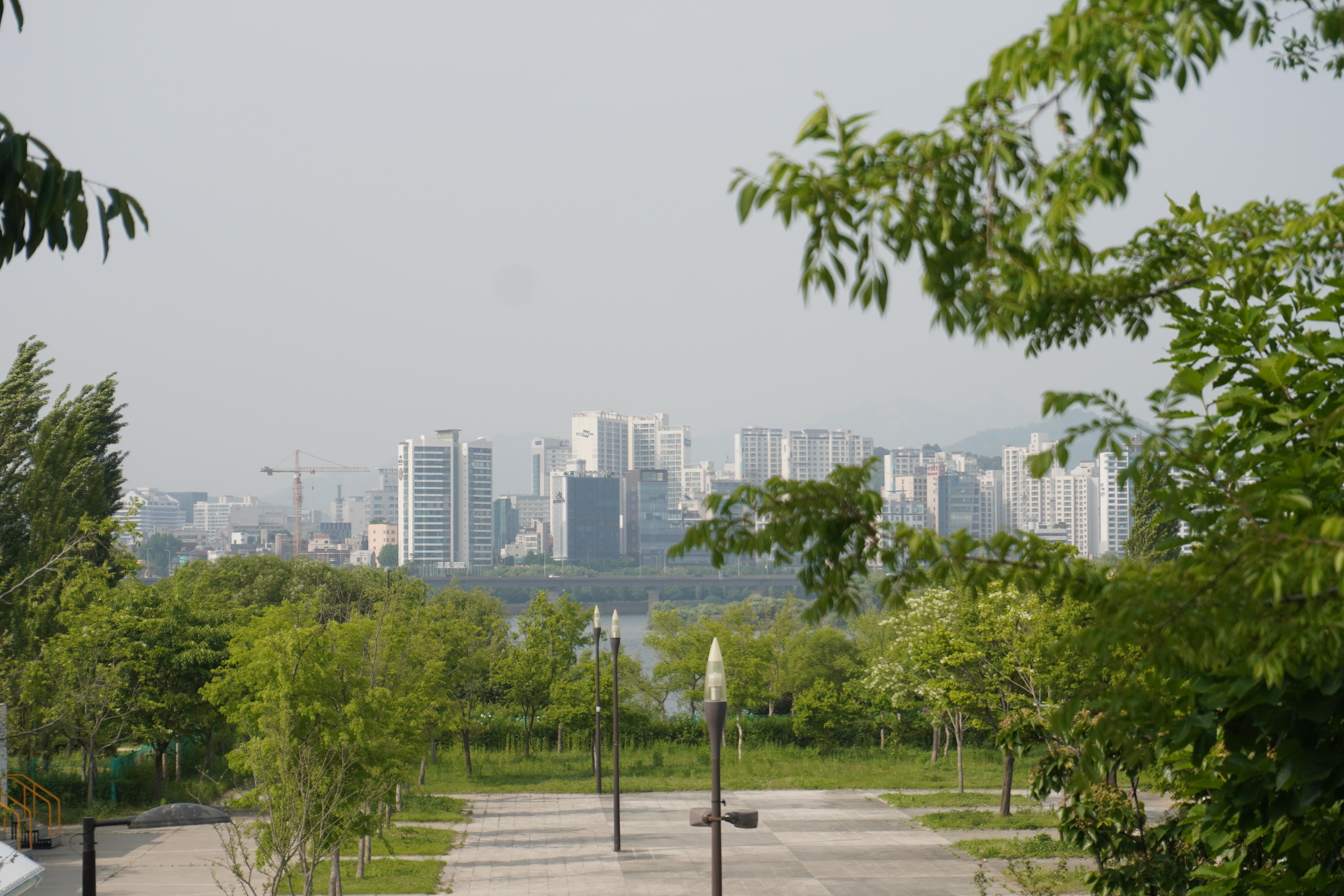 Unique Native Experience: Han River Picnic, Board Game, BBQ