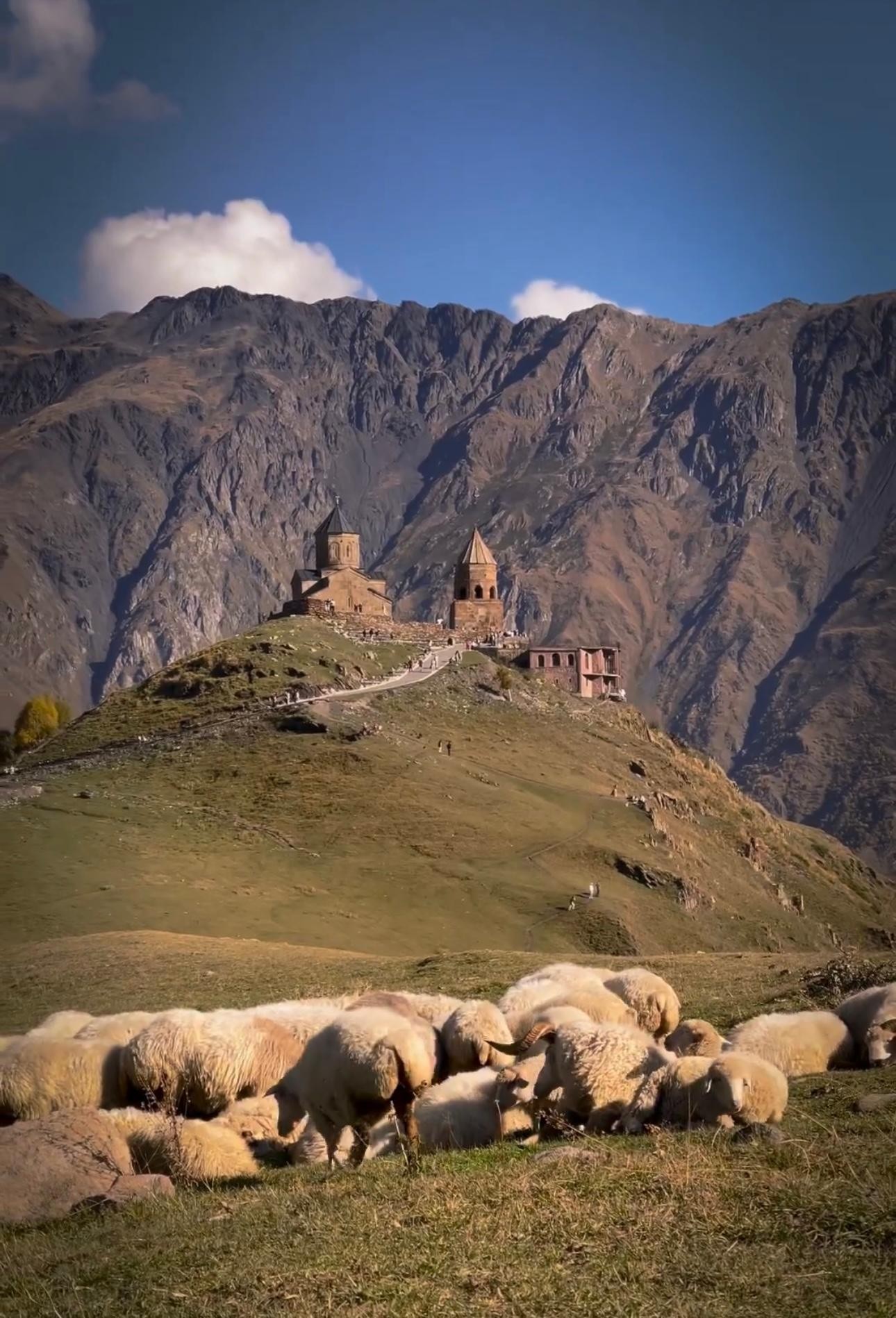 From Tbilisi: Private Day Trip Gudauri and Kazbegi Mountains 2