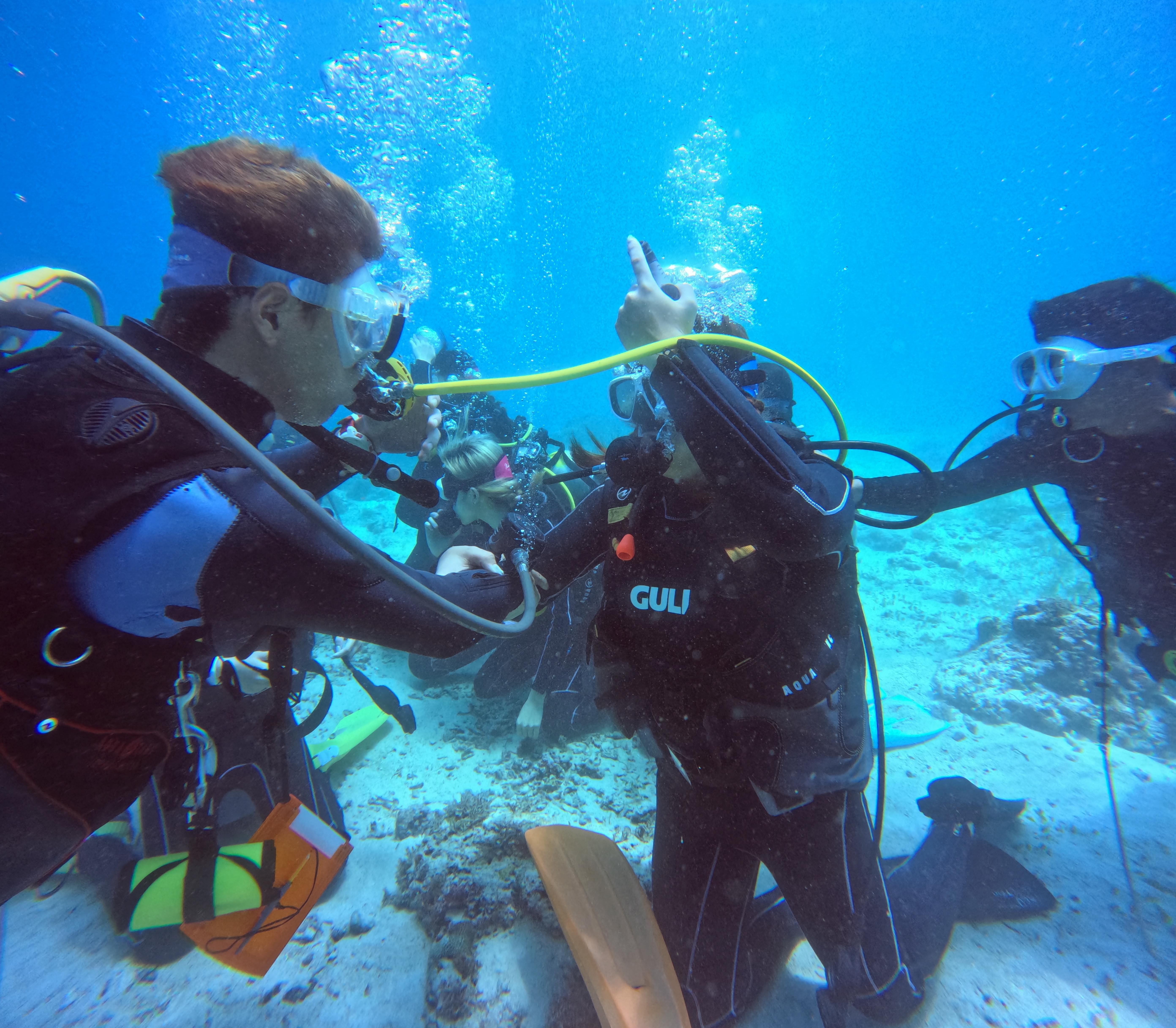 Cebu: PADI Open Water Certification Course 3