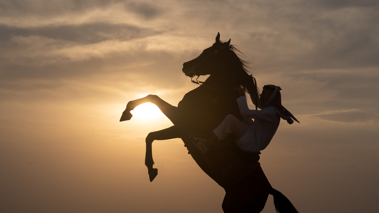 Ride the Dunes: Doha Desert Horseback Adventure