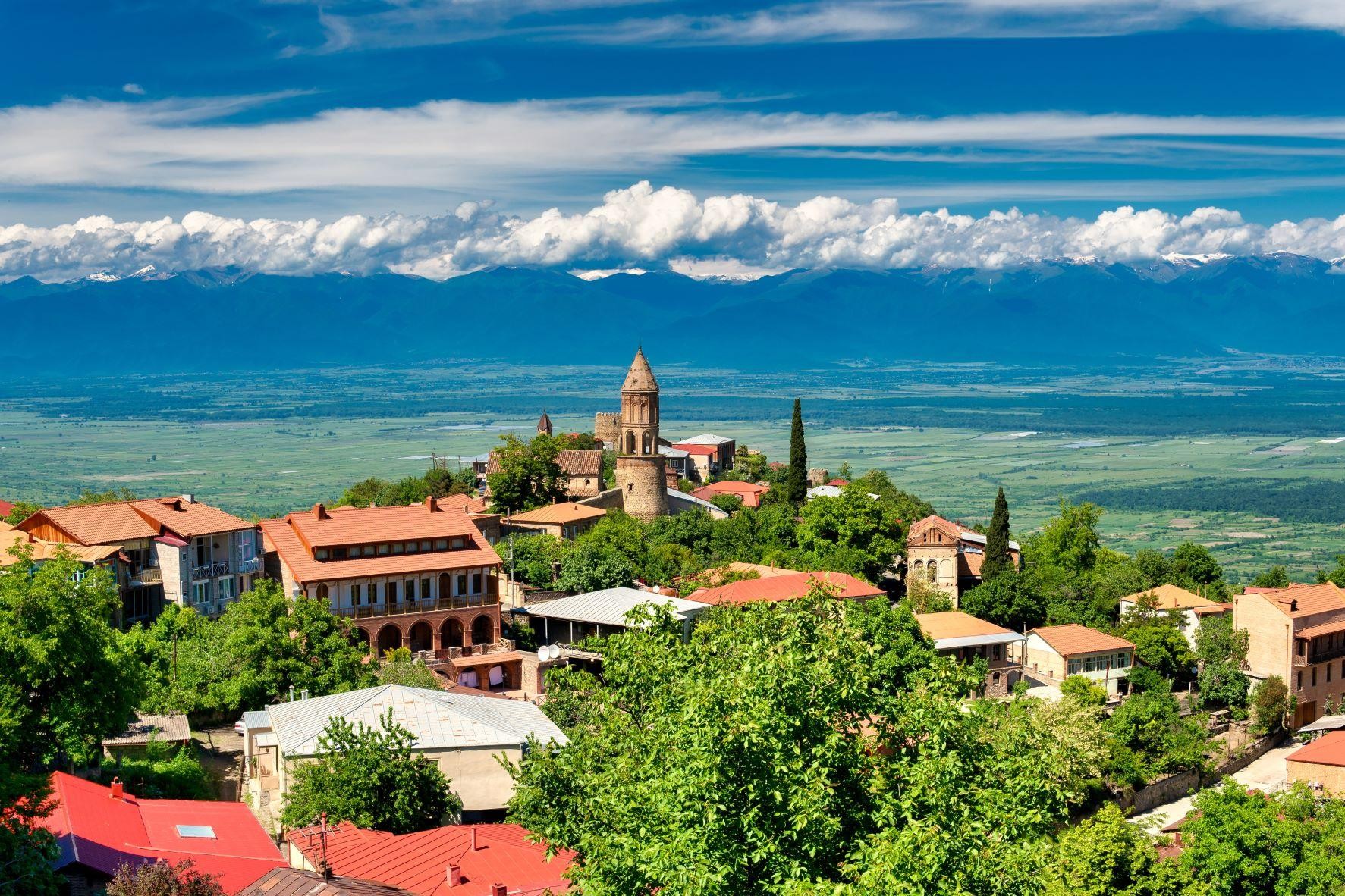 From Tbilisi: Kakheti Wine Region & Sighnaghi Day Tour 3