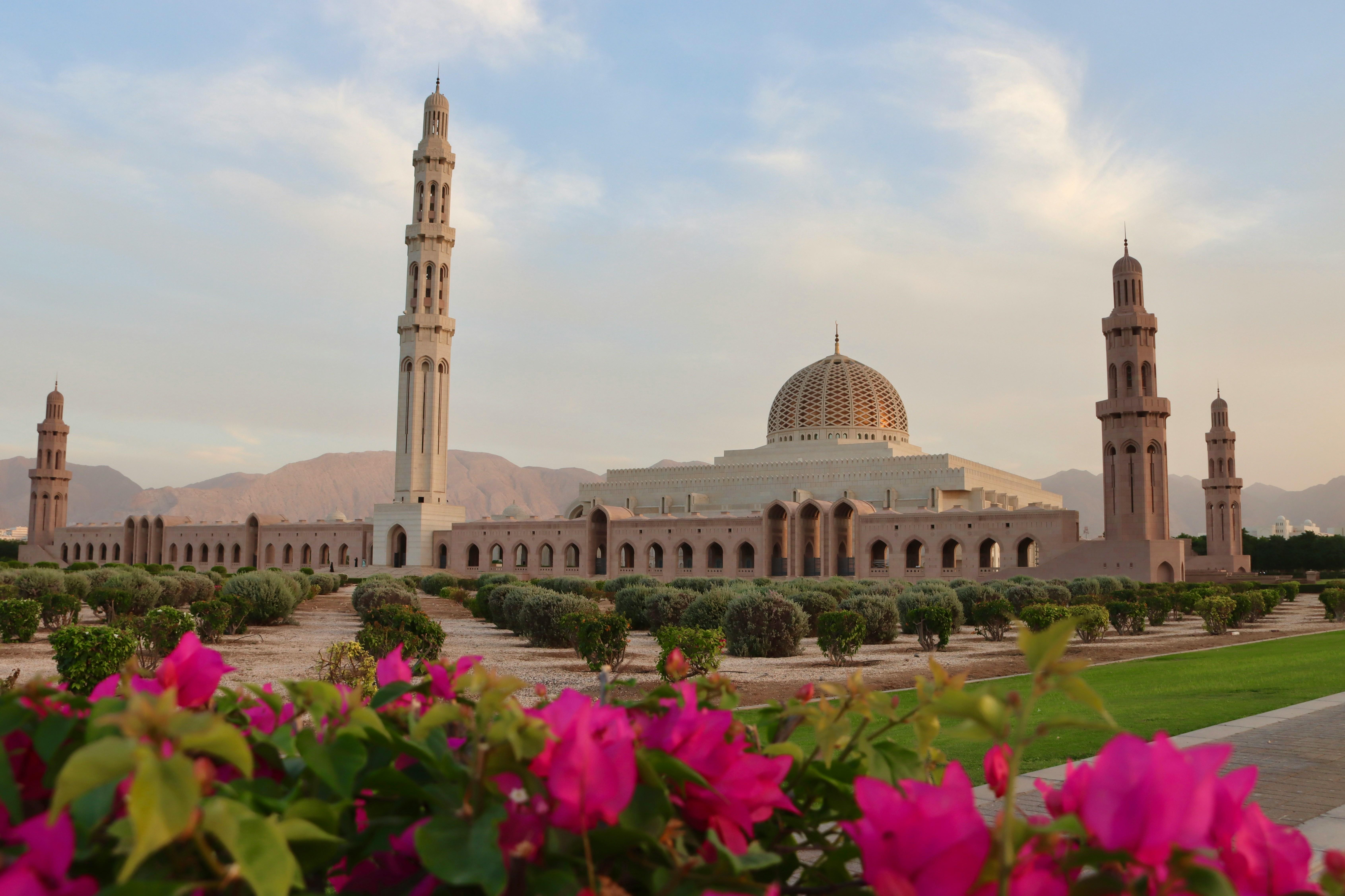 Muscat: Night Tour [ Sightseeing ] 2