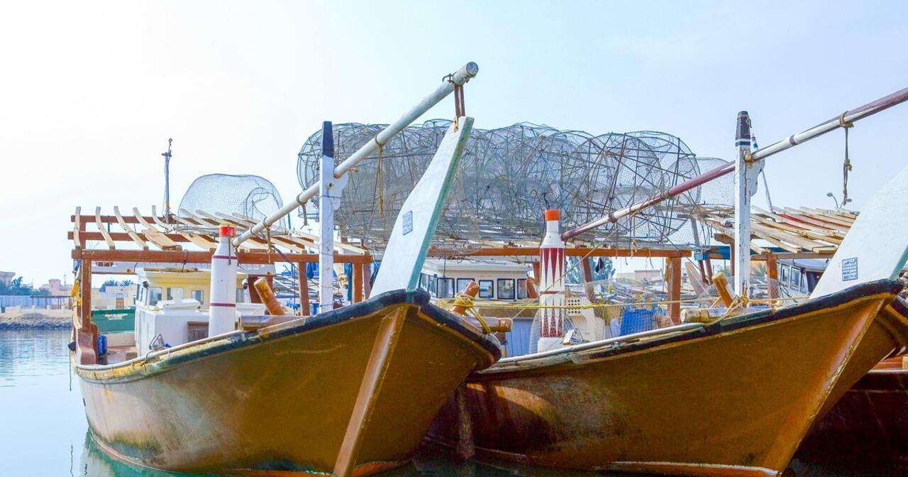 From Doha: Half-Day Purple Island & Al Zubarah Fort Tour 2
