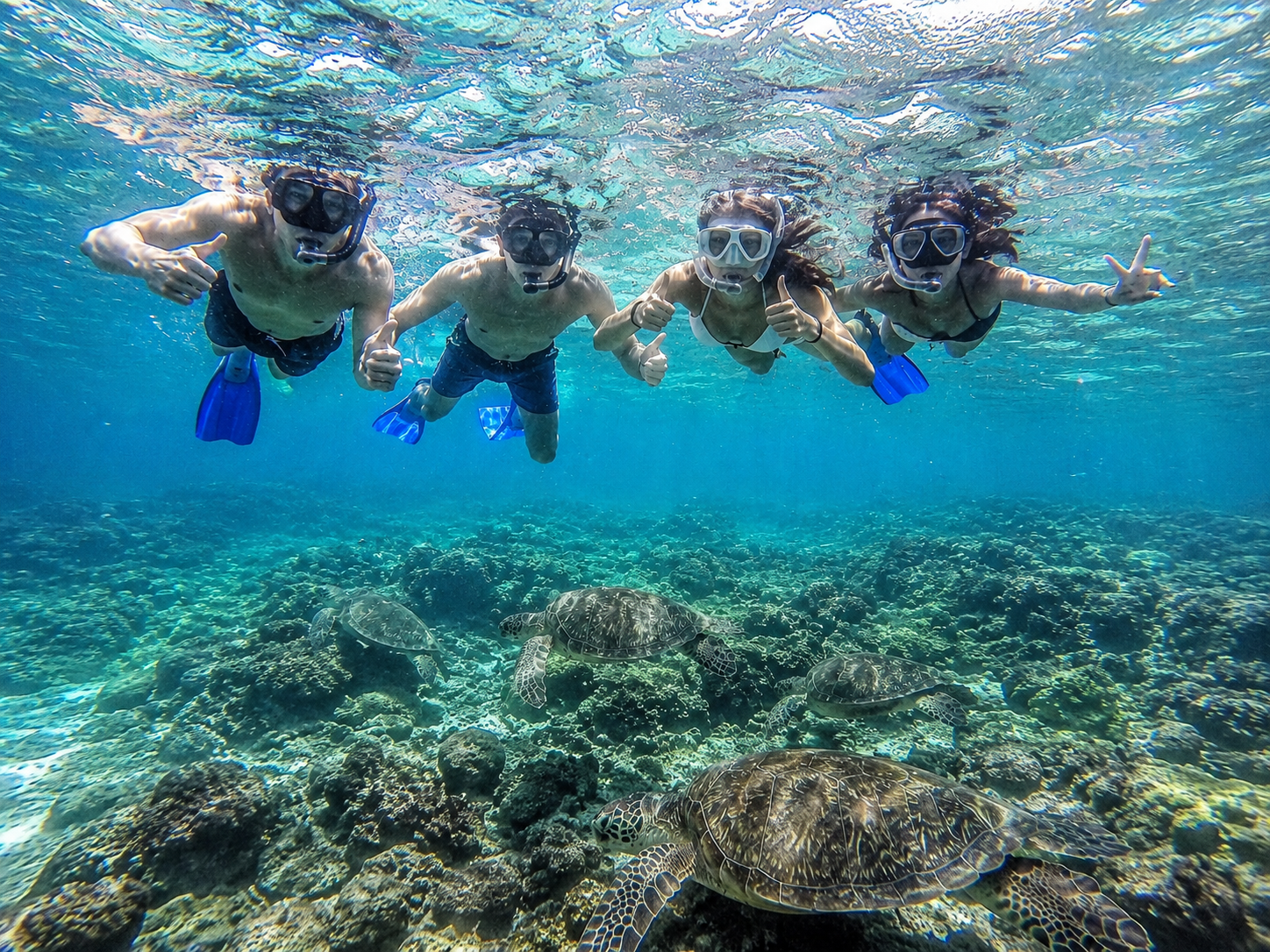 Oman: Daymaniyat Island Snorkeling Trip with Equipment