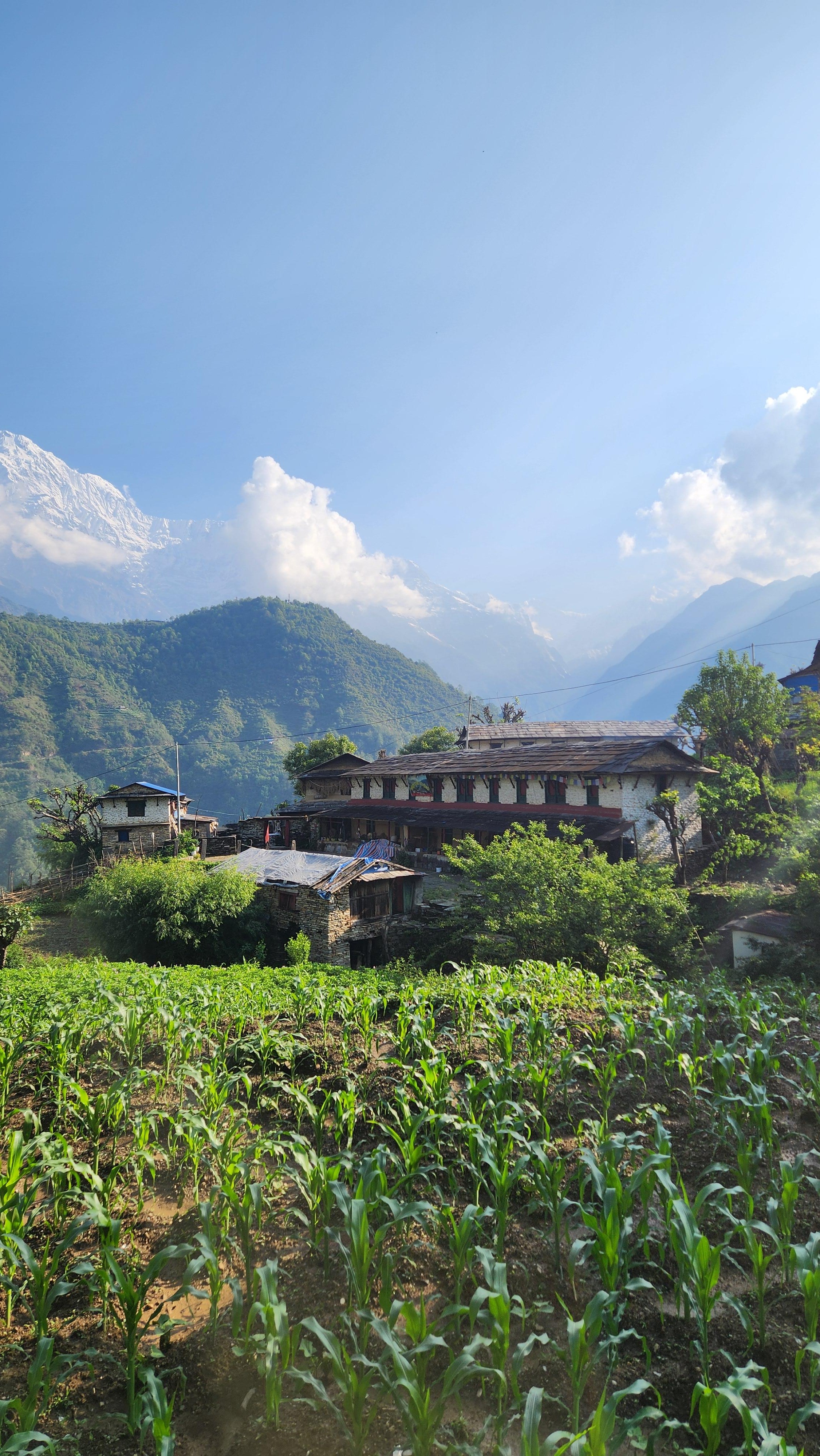 Annapurna Base Camp Trek: 12-Day Guided Tour