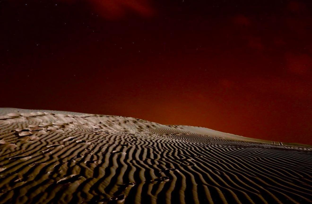Doha Night Desert Safari Stargazing And Camel Ride 2