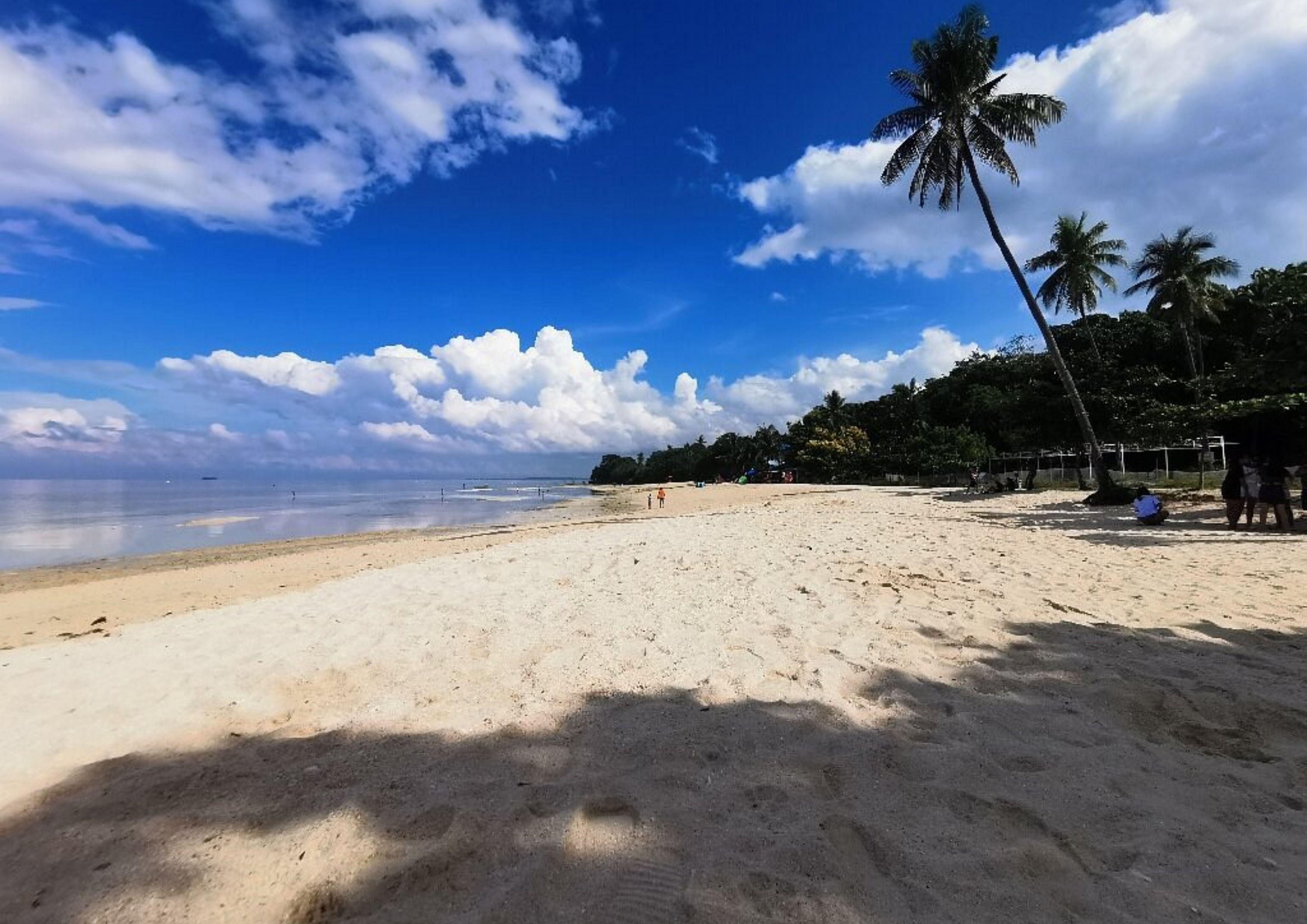 Cebu: Sardines, Sea Turtles & Kawasan Falls Private Tour 2