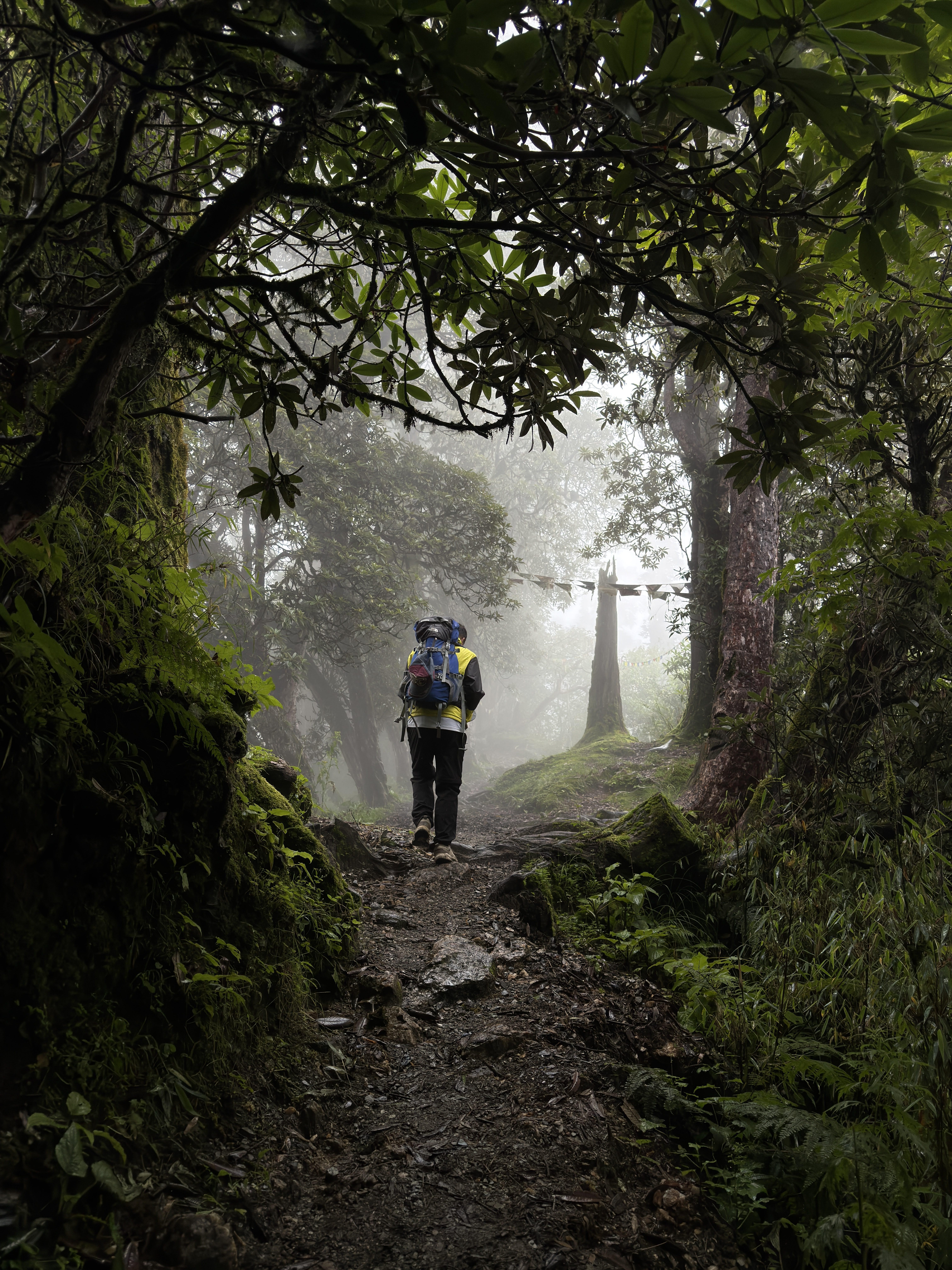 Pokhara: Queen Forest Hike to Santi Stupa & Lake Boat Ride 2