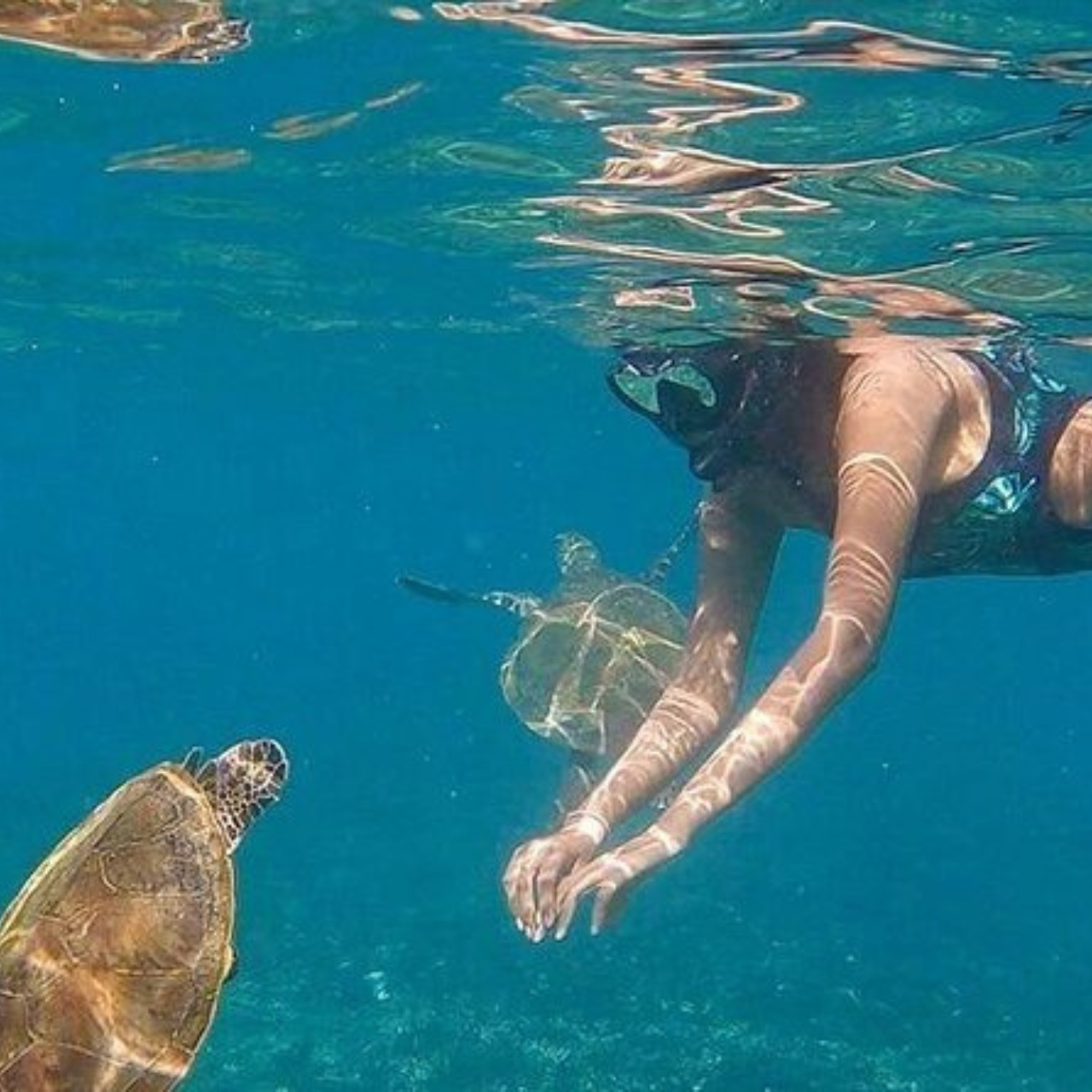 Muscat: Snorkeling at Oman's Daymaniyat Islands 3
