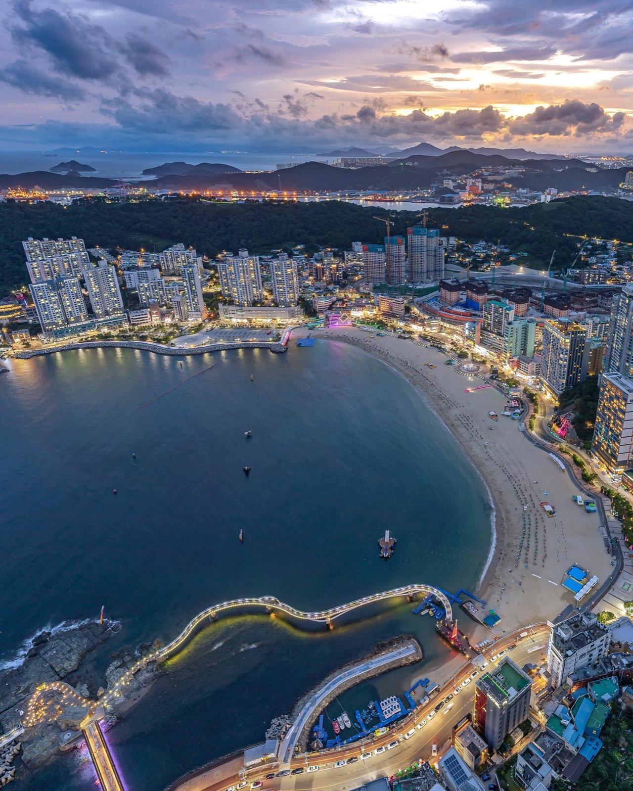 Busan: Guided K-Drama Day Tour with Pet Cafe & Magnate 2