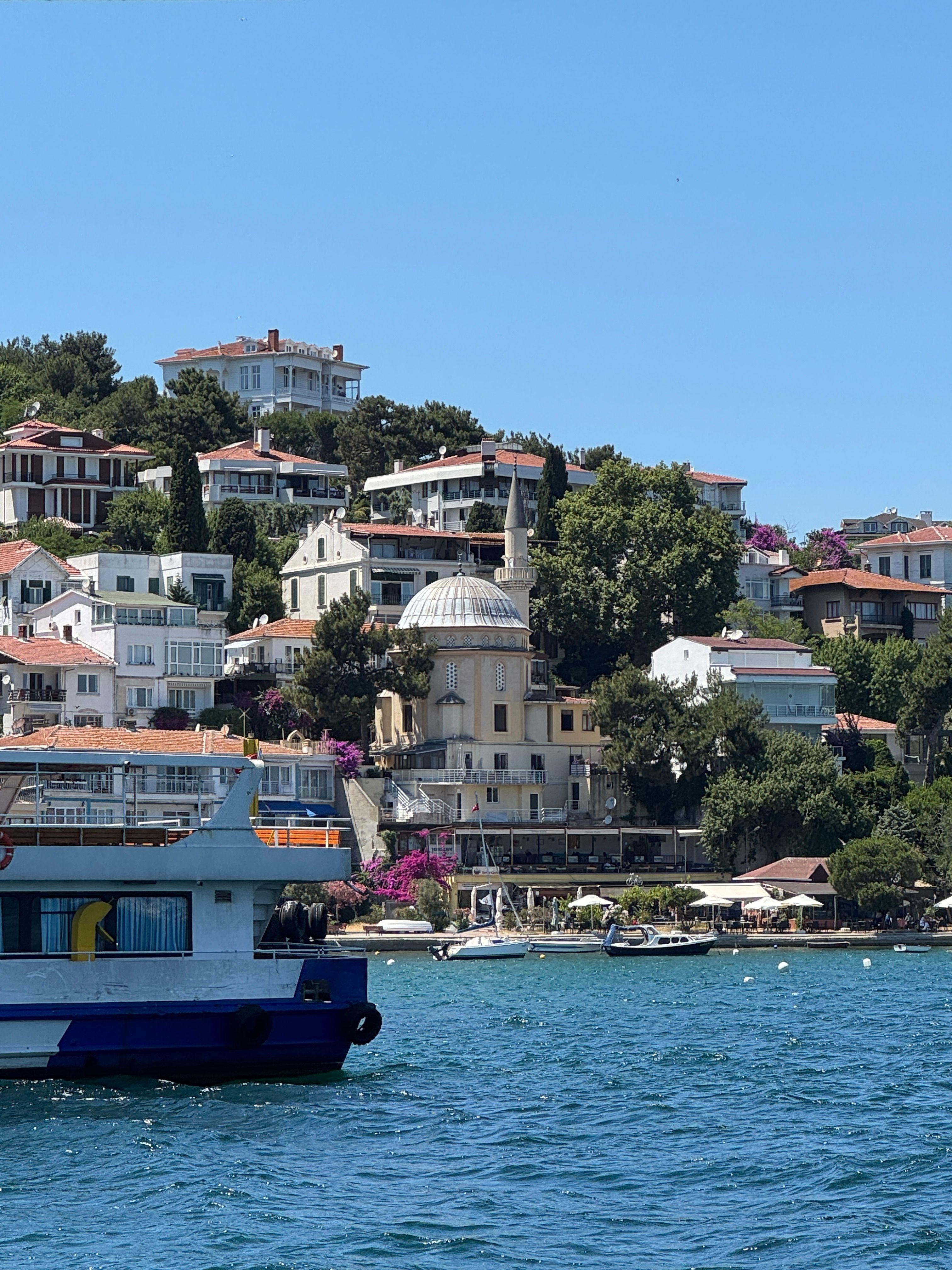Beyond Istanbul: Princes' Islands Full Day Tour with Lunch 2