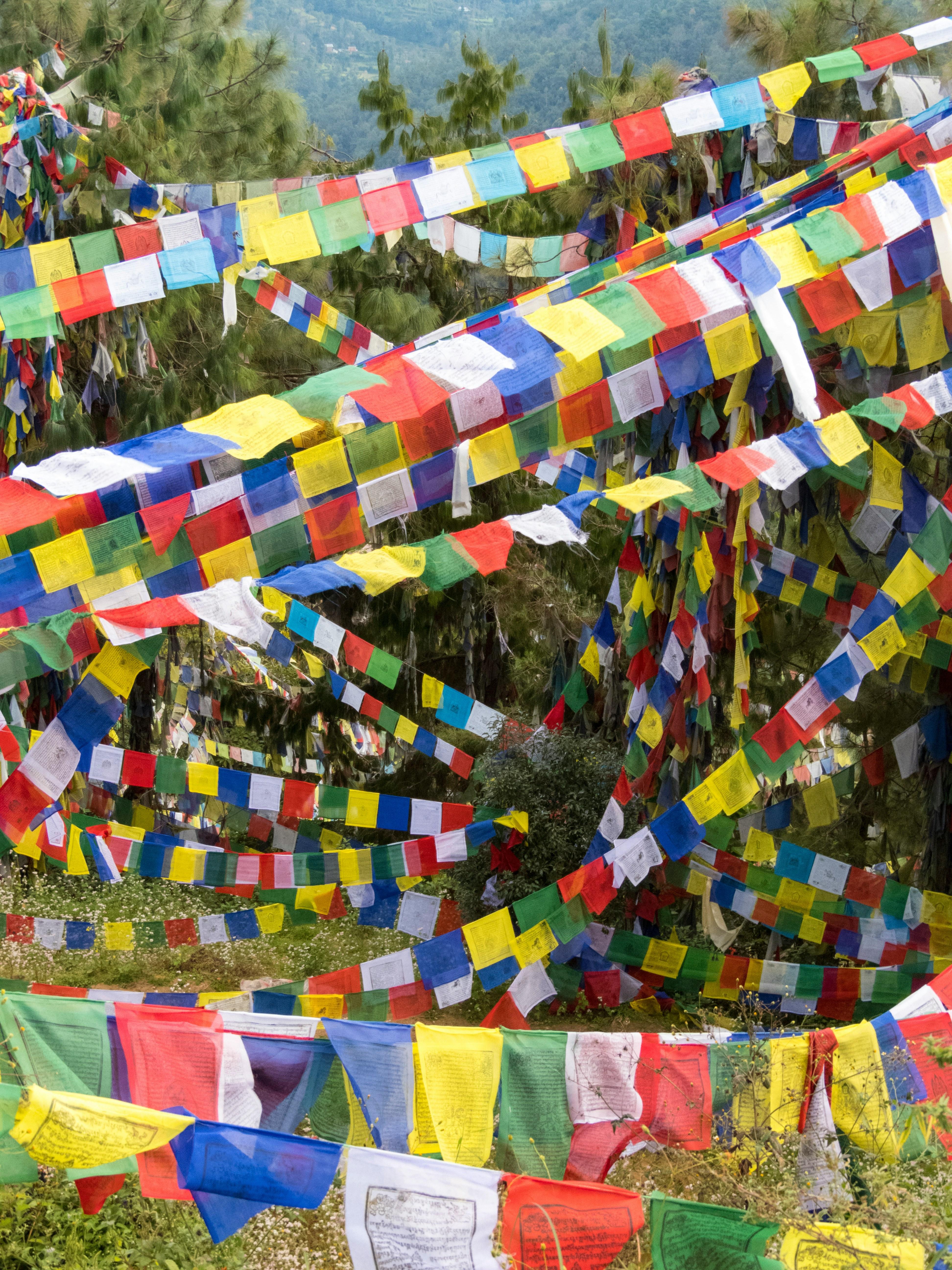 Kathmandu: Namobuddha Day Hike with Monastery Visit 2