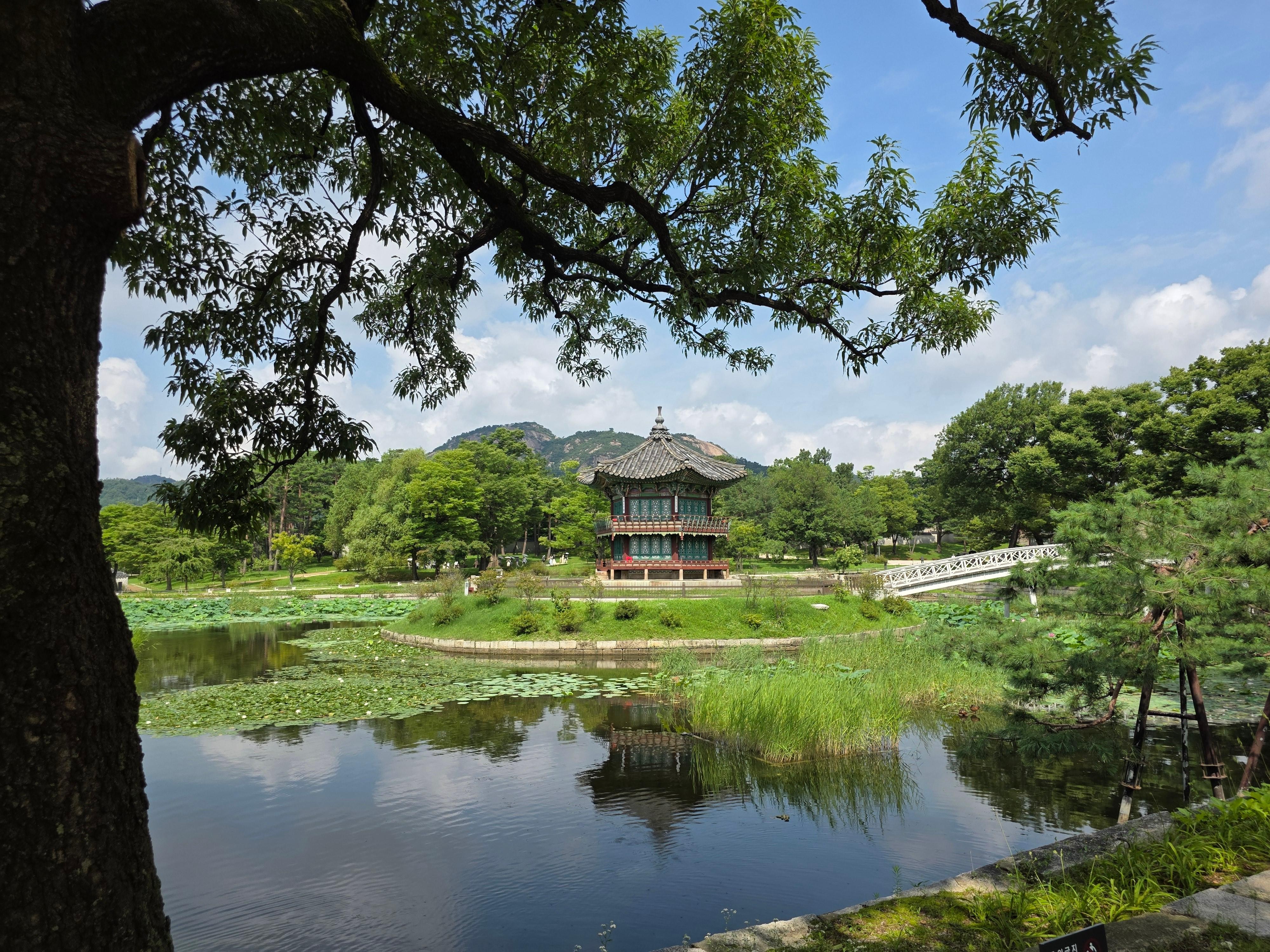 Seoul Private Palace Tour with Hanbok Elegantly 3