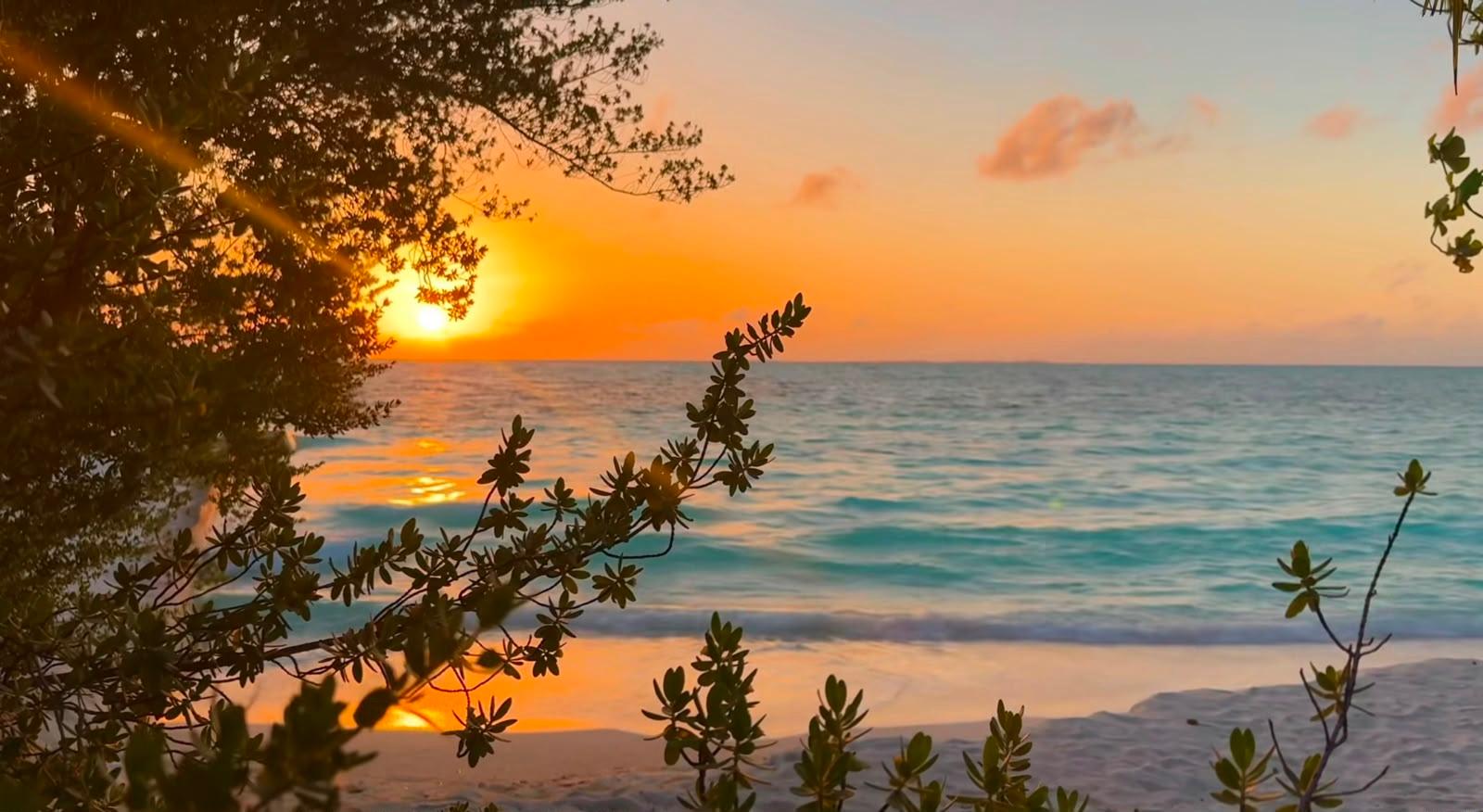 Maldives: Sunset, Dolphin Watching & Reef Snorkeling Tour