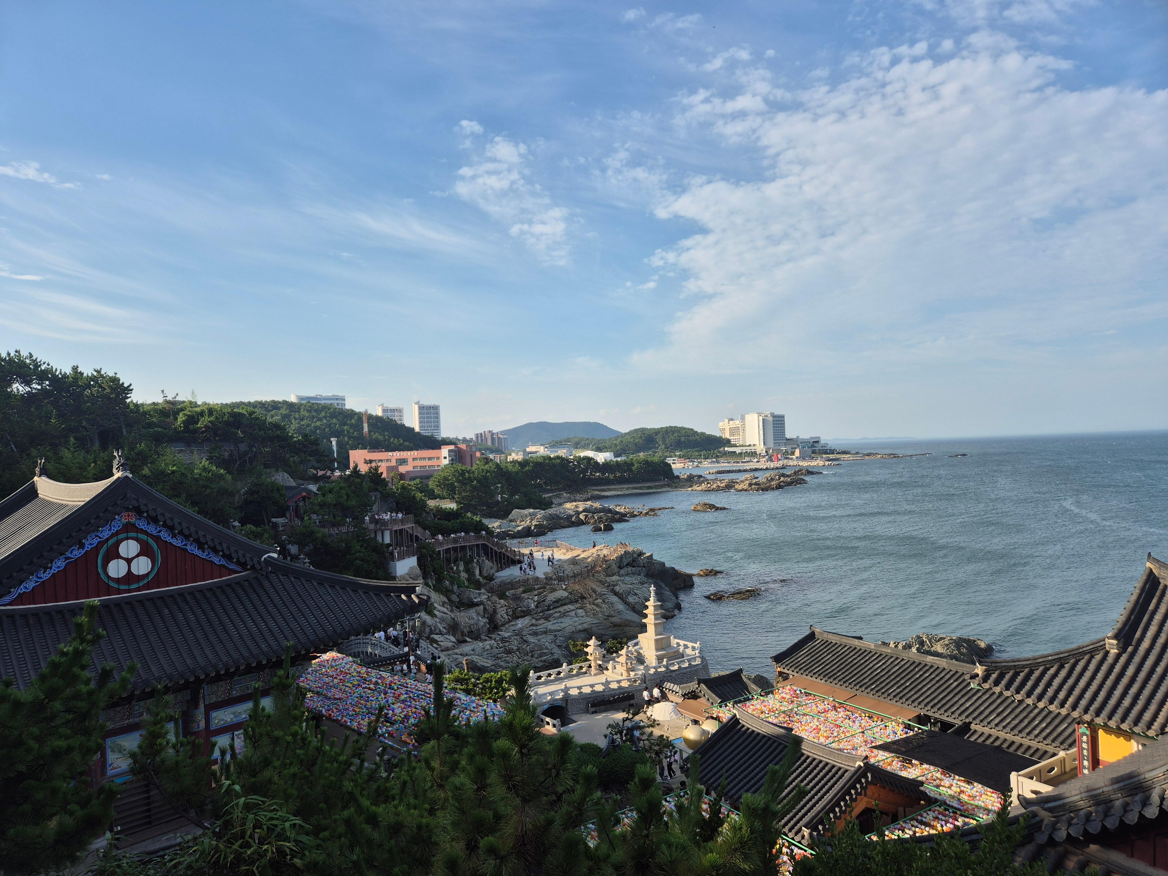 Busan: Private Van Tour of Hidden Gems, Food & Cafe Spots 2