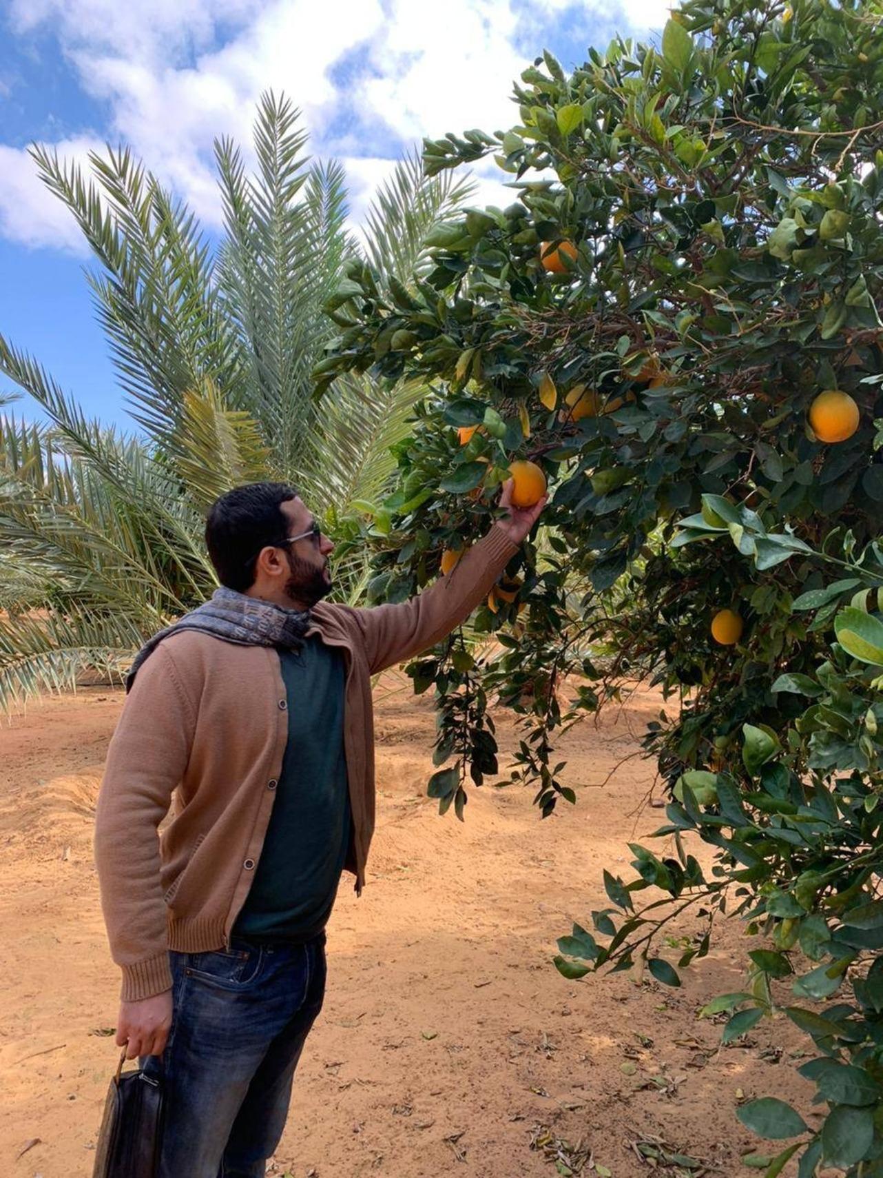 AlUla: Oasis Farm Tour and Traditional Feast with Locals 3