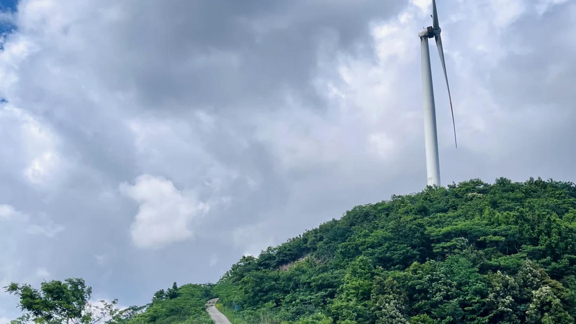 Shanghai: Ningbo Windmill Road & Flower Sea Private Day Trip 2
