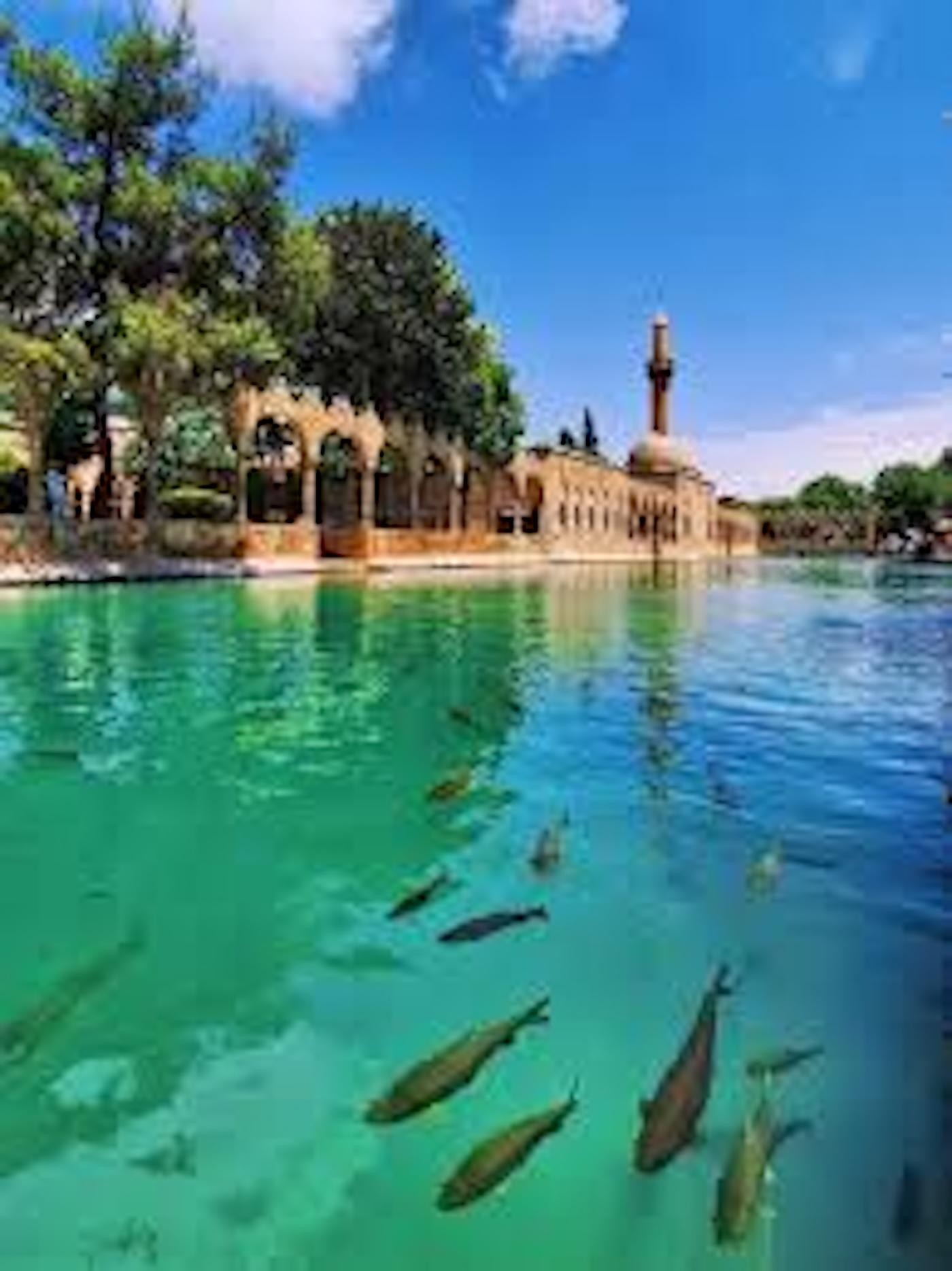 Istanbul: Private Gobeklitepe & Karahantepe by Flights 3