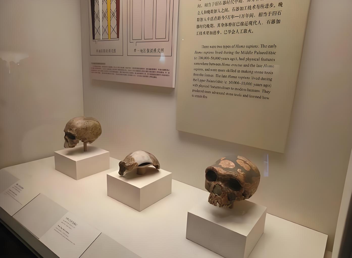 Beijing: National Museum of China Entry Ticket 3