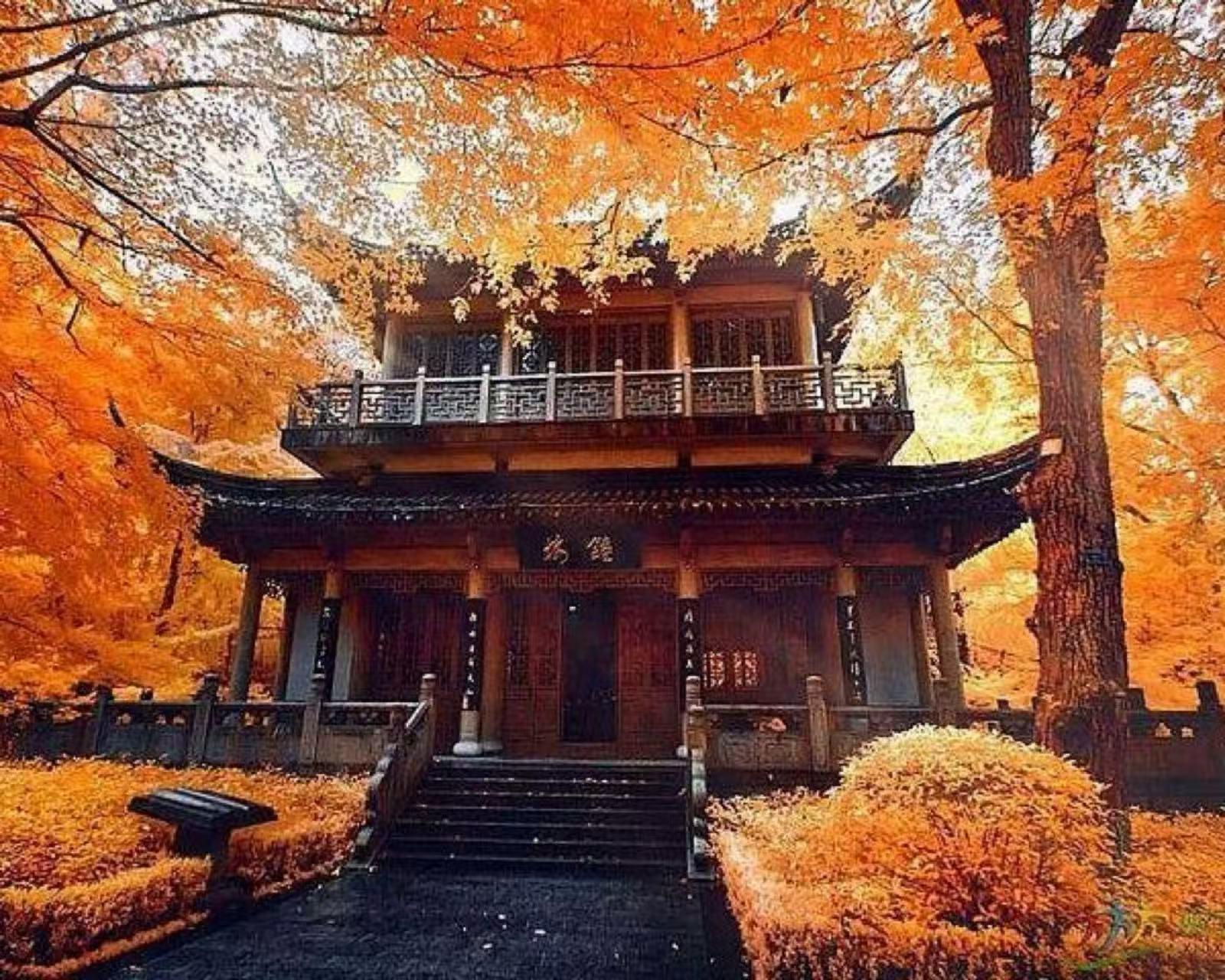Nanjing: 3-Day Private Tour to Nanjing Museum