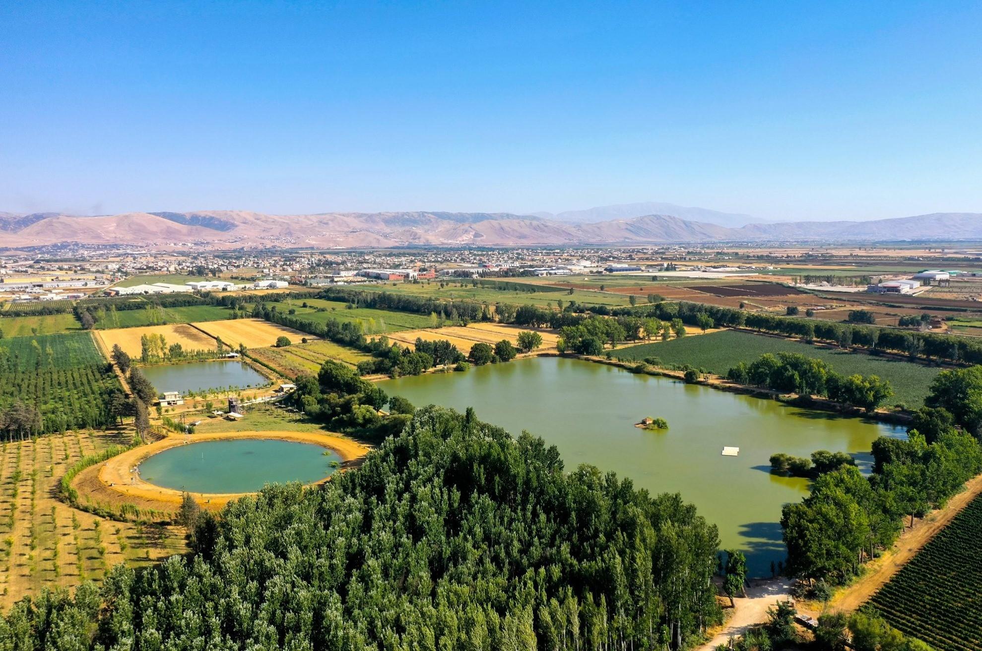 From Beirut: Baalbek, Anjar & Ksara Private Full-Day Tour 2