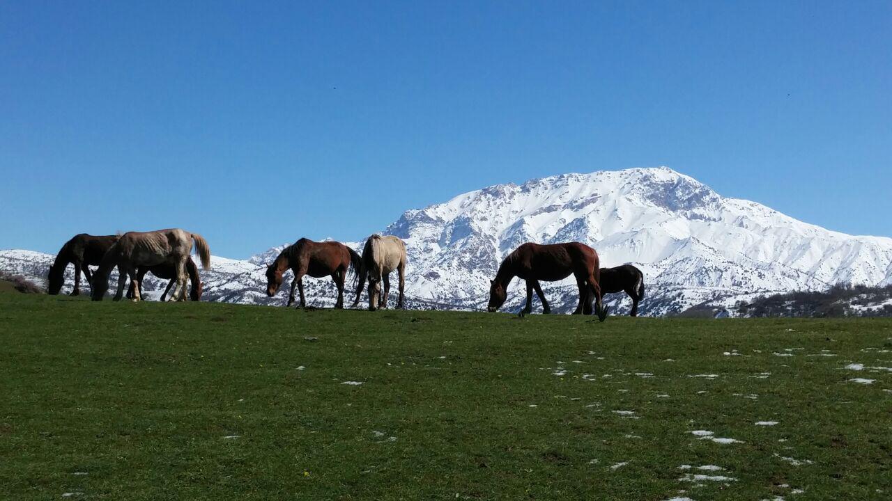 From Tashkent: 2-Day Western Tian-Shan Mountains Hiking Tour