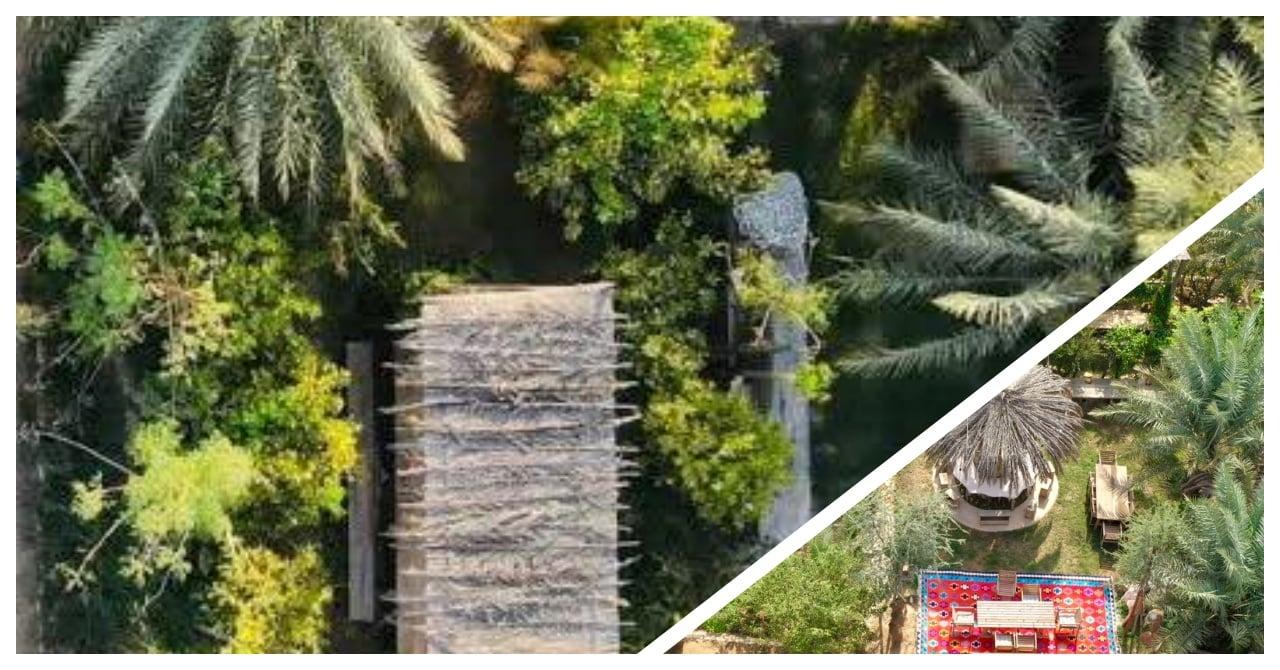 Doha: Torba Farm Guided Tour with Transfers 2