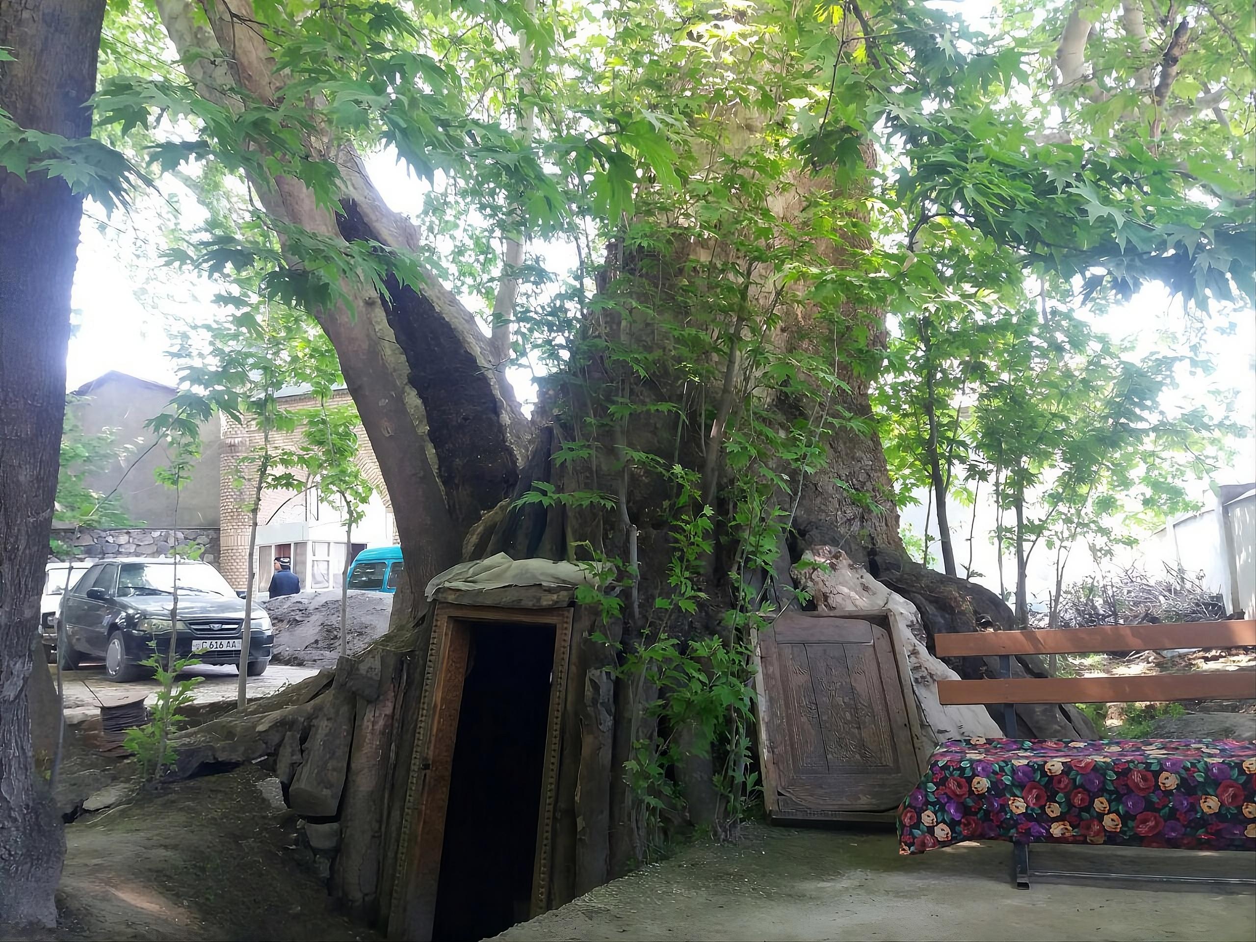 From Samarkand: Urgut Mountains & Kamangaron Lake Day Trip 3