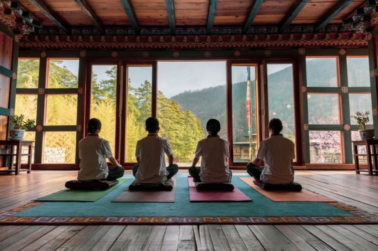 Paro: Guided Meditation and Mindfulness Experience
