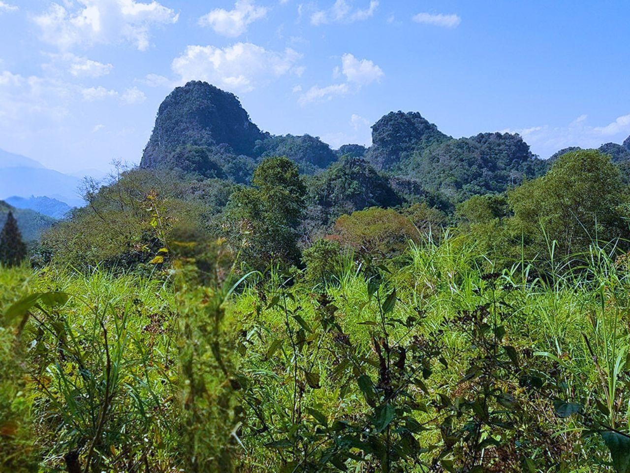 Luang Prabang: Full-Day Adventure Trekking with Lunch