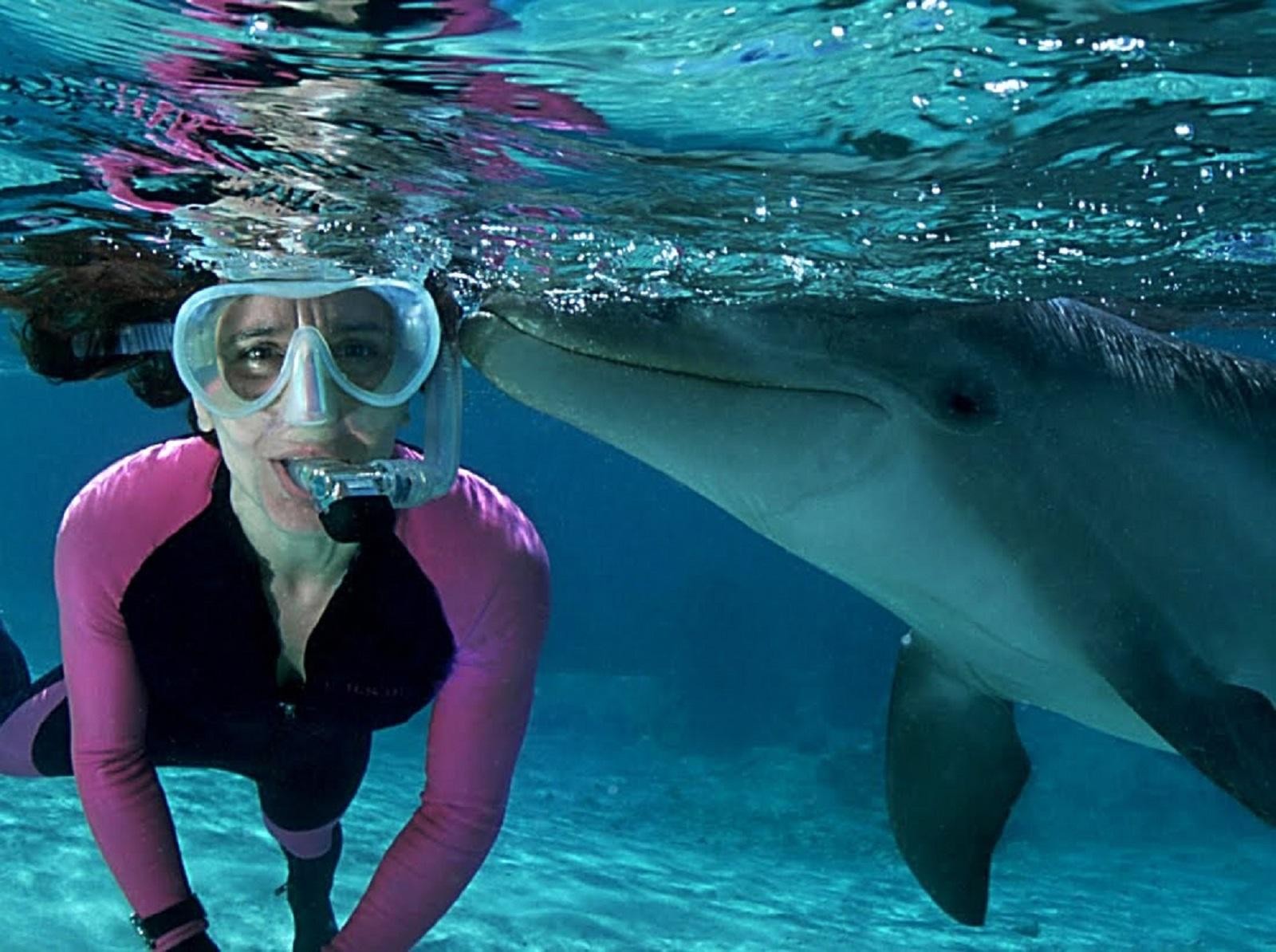 Muscat: 4-Hour Snorkeling Tour with Dolphin watching 2