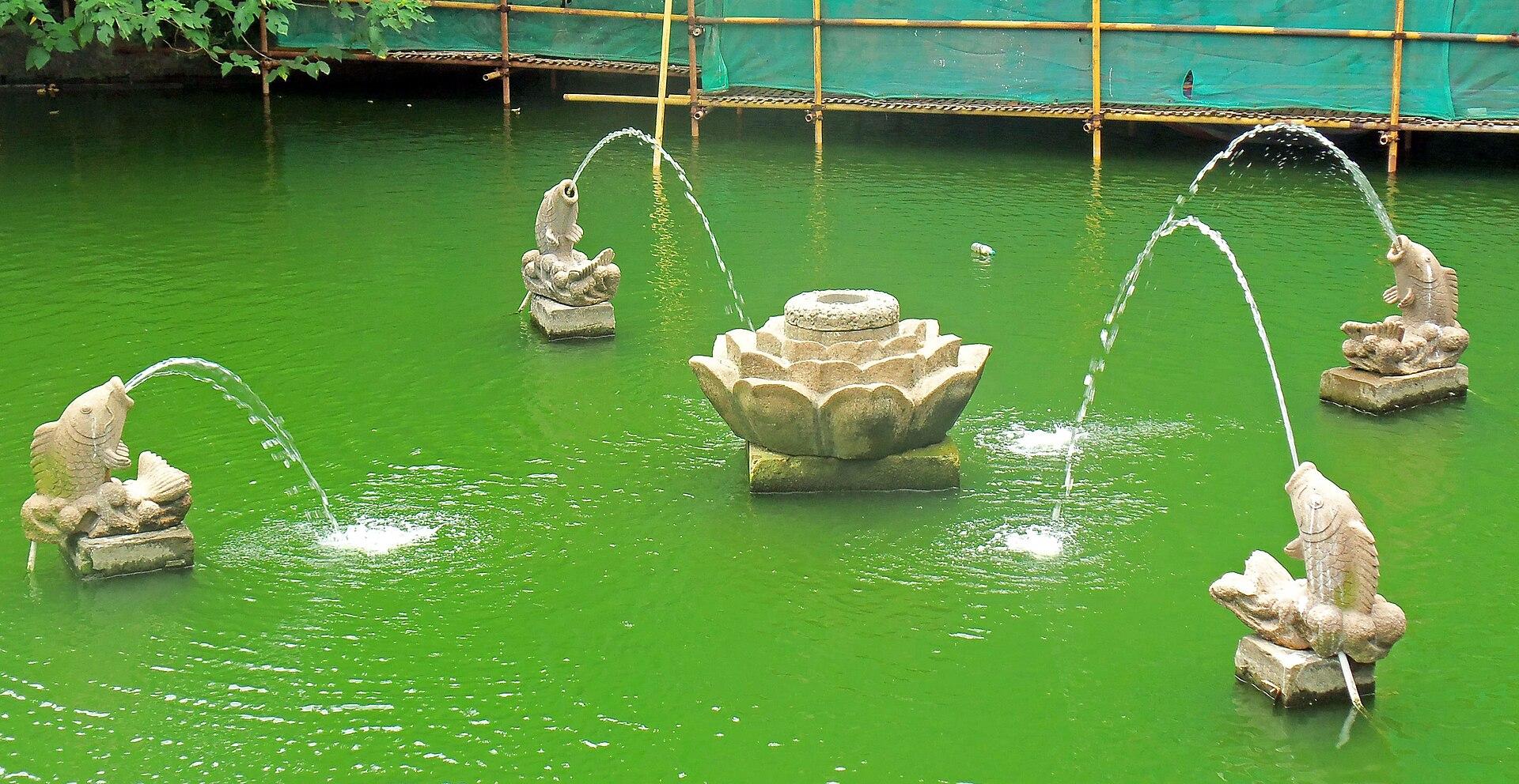 Shanghai: Yuyuan Garden Ticket with Transfers 3