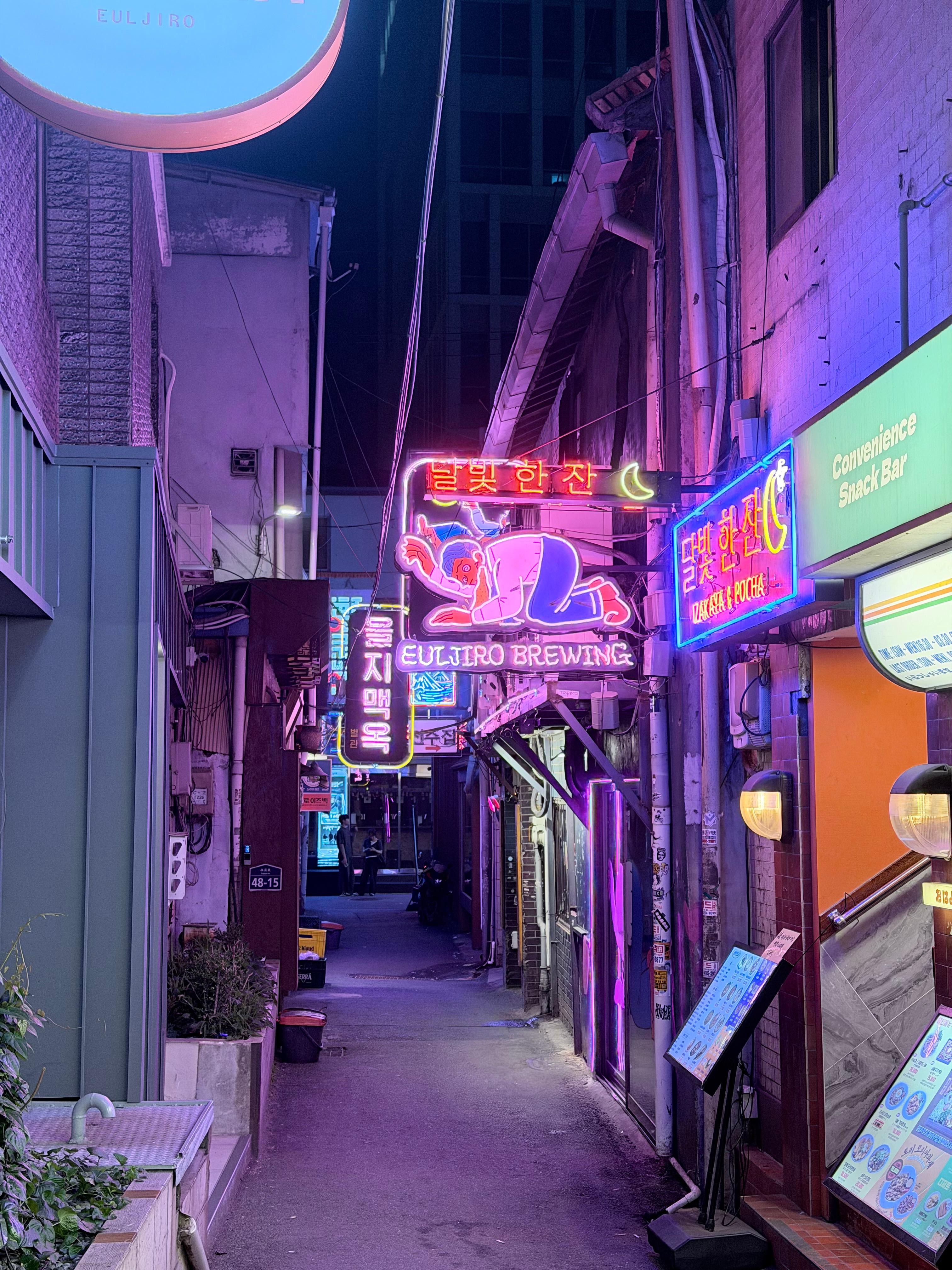 Seoul Night Tour with Chimaek and Photo Spot Visit