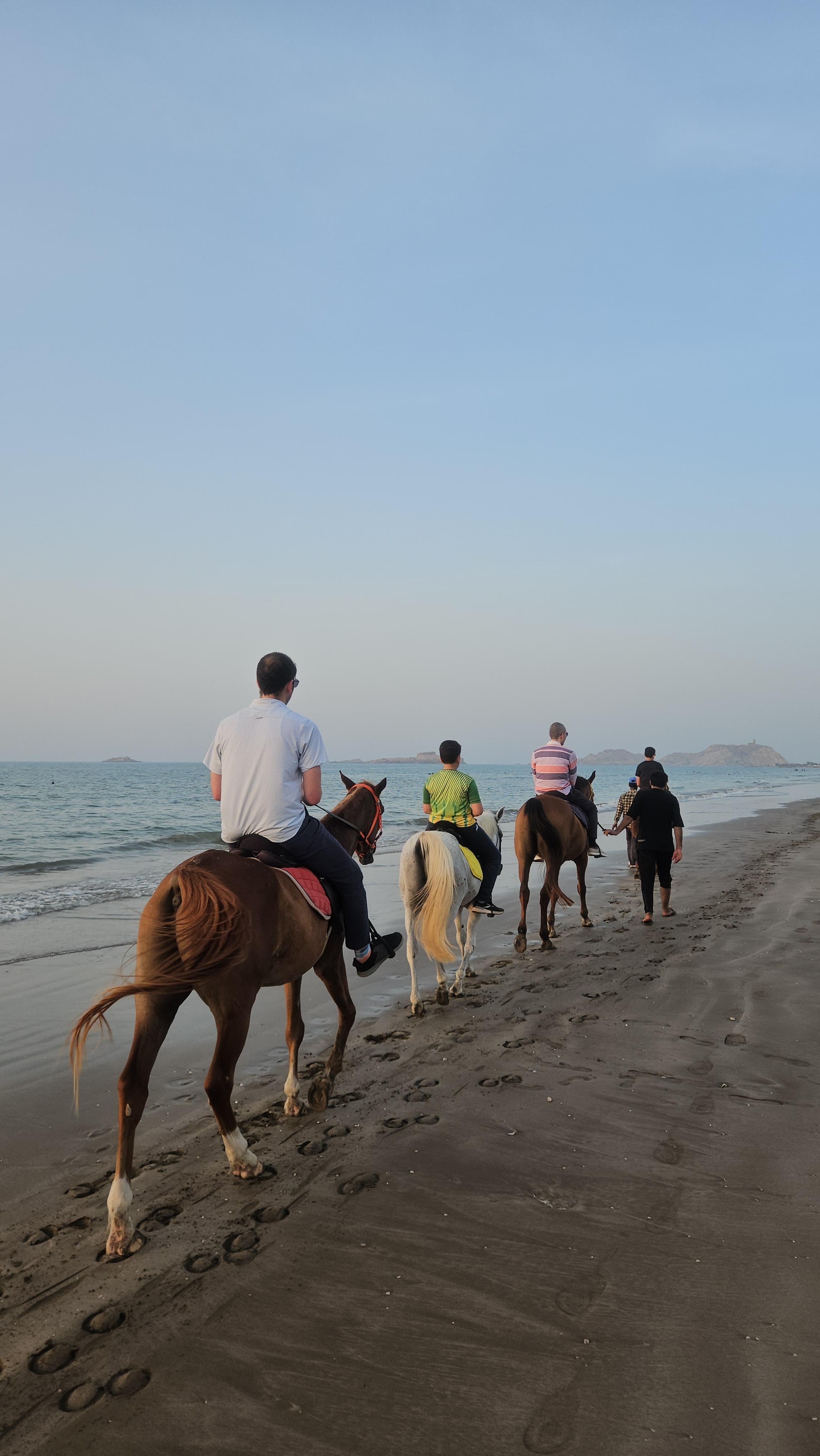 Muscat: Private Horse Riding on Al Sawadi Beach 3