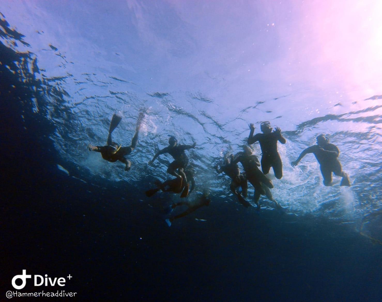 Snorkeling trip with pick up and guide 2
