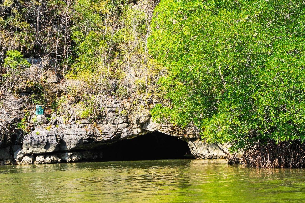 Langkawi: 3-Hour Private Mangrove Kilim Geoforest Boat Tour 3